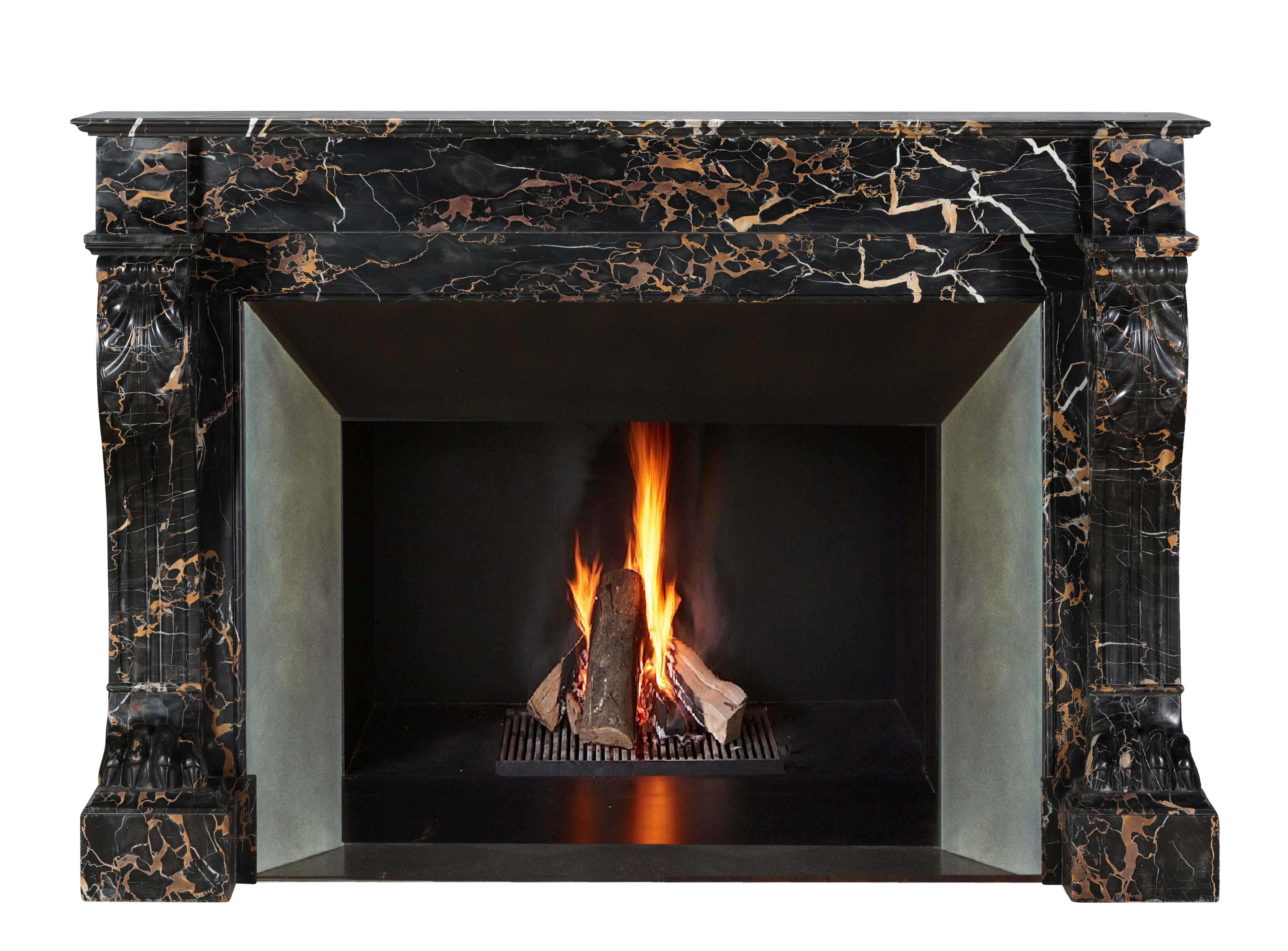 19th Century Portor Marble Fireplace Mantel With Lion Paws - Rare Luxury For Sale 1