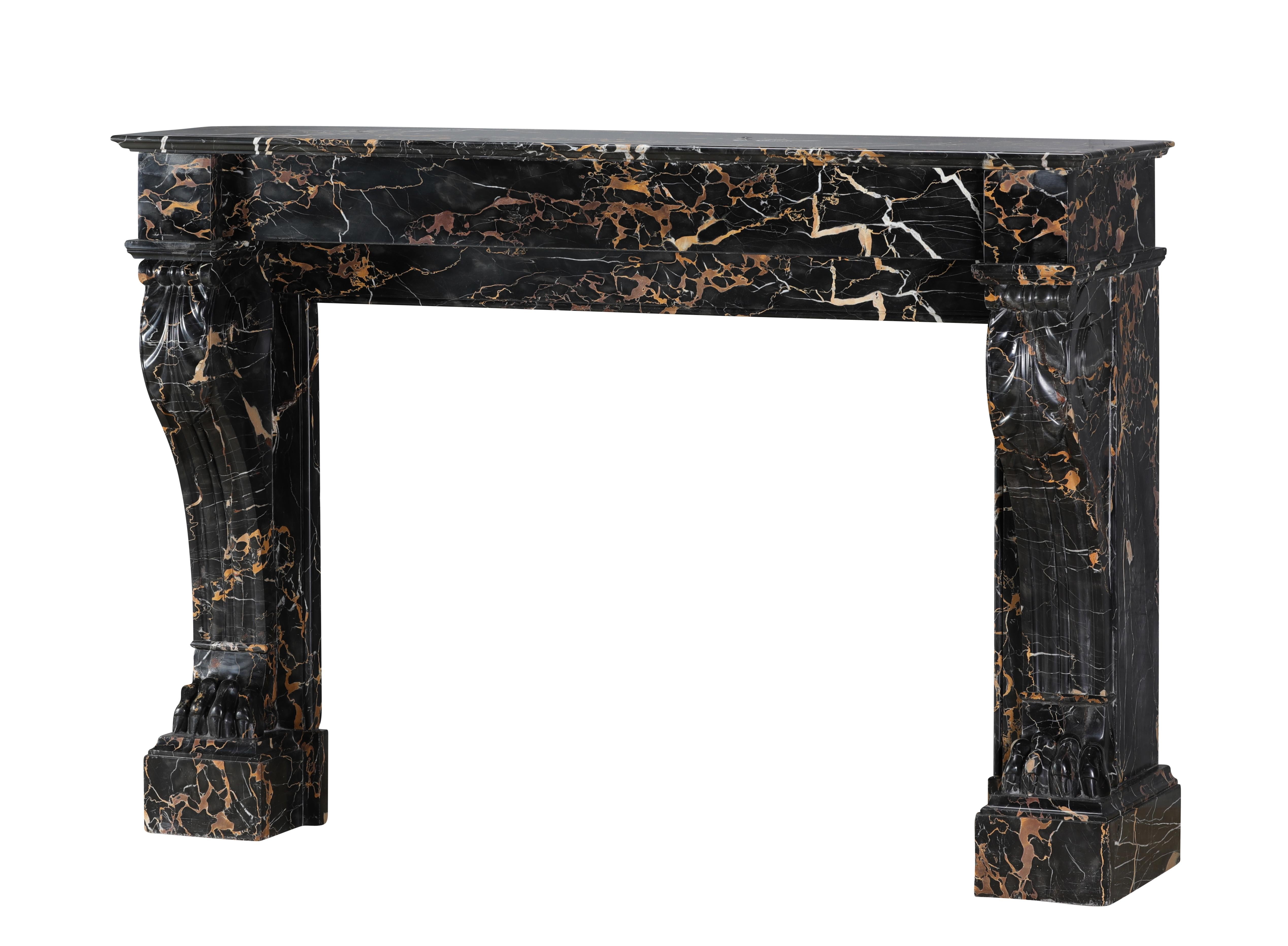 19th Century Portor Marble Fireplace Mantel With Lion Paws - Rare Luxury For Sale 2