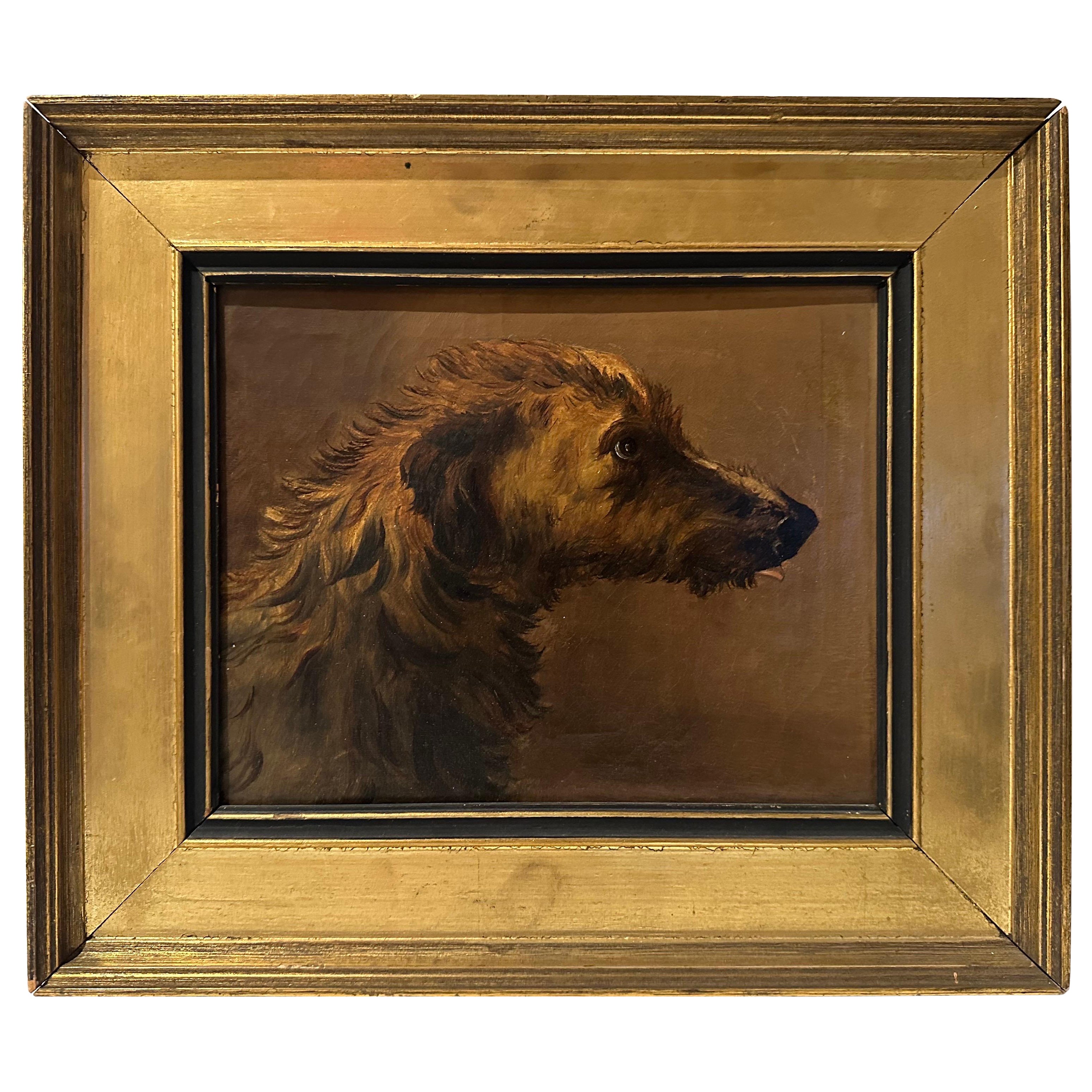 Portrait d'un chien au 19e siècle