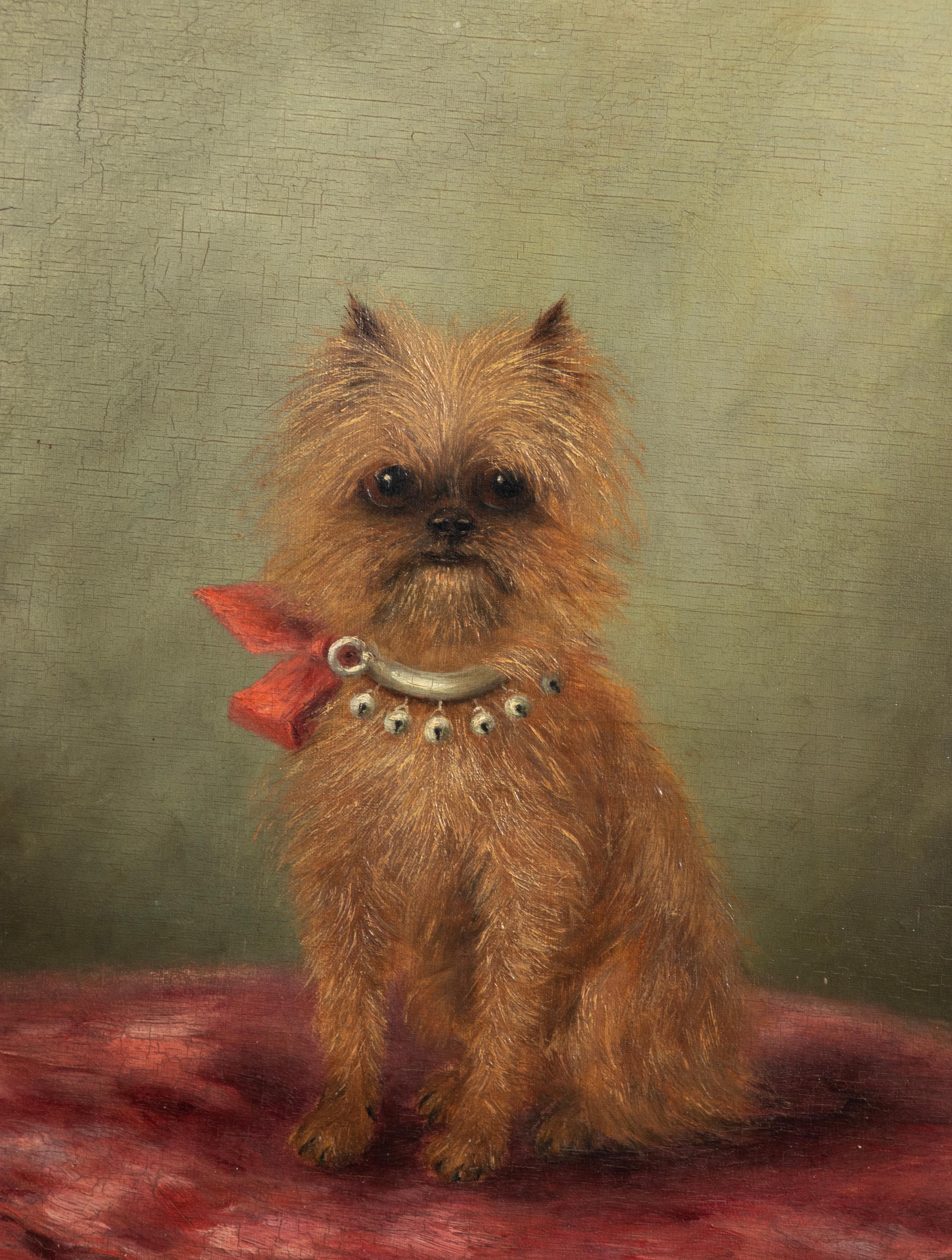 Lovely portrait of a dog, made by the Belgian female artist Zélia Klerx. The dog portrayed is a Griffon de Bruxelles, a small companion dog.
Zélia Klerx was an artist from the Belgian region of the Ardennes, she made paintings commissioned by