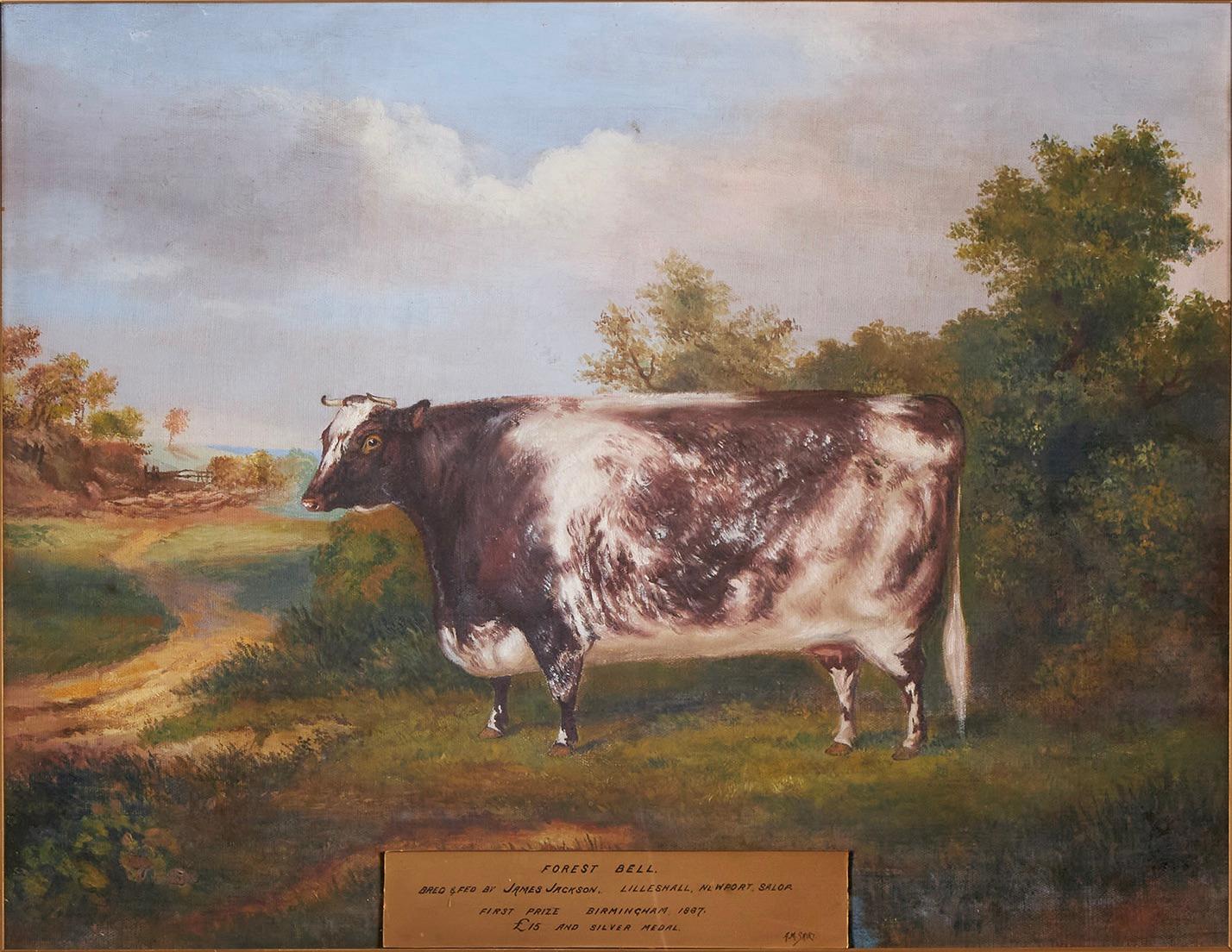 prized cow