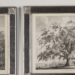 19th Century Portraits of British Trees