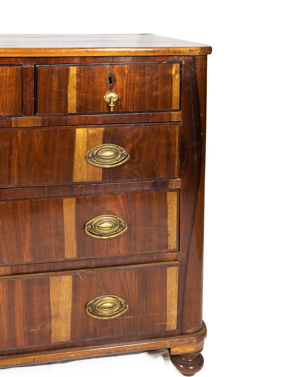 19th Century Portuguese Chest of Drawers For Sale 2