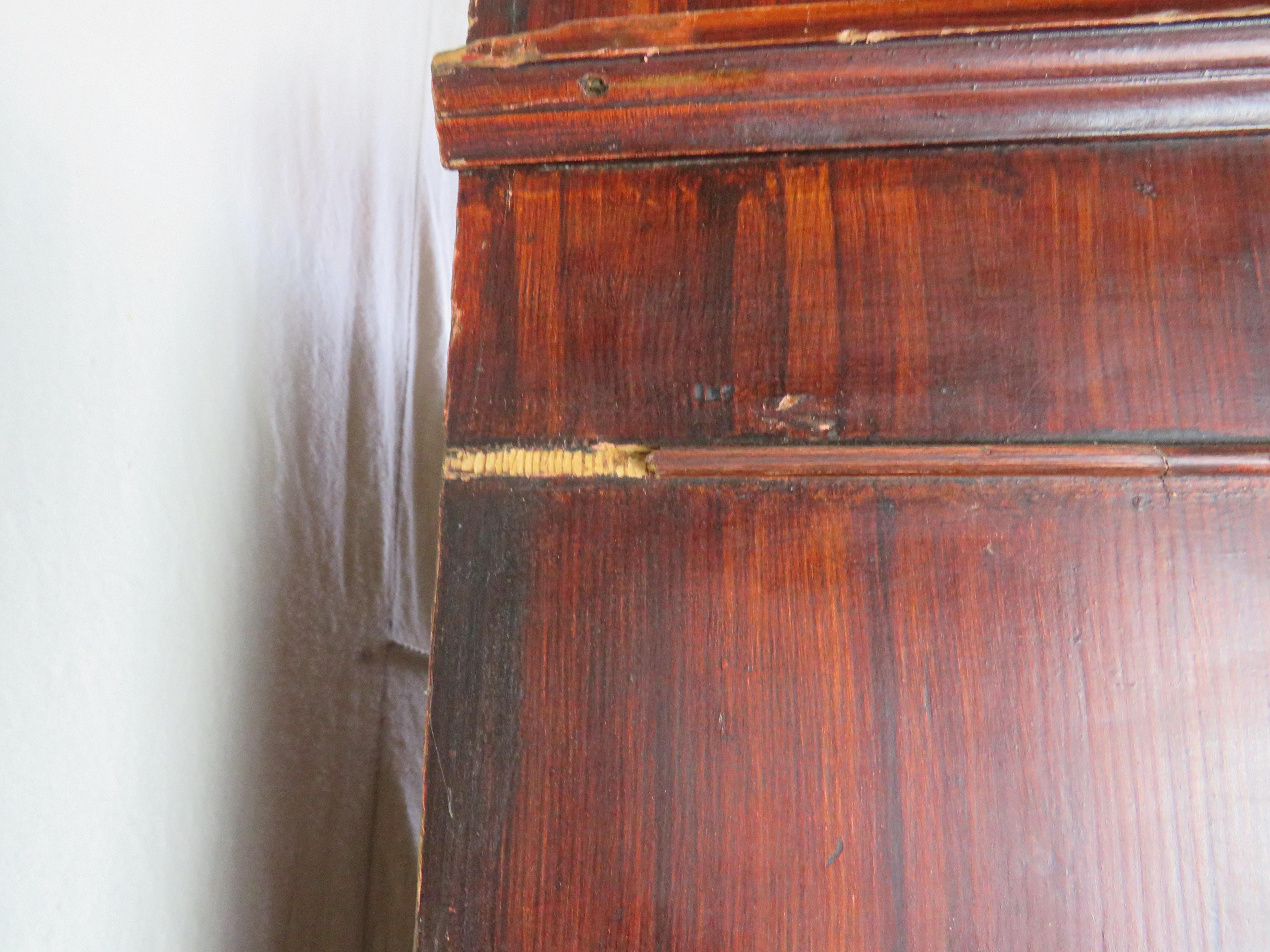 19th Century Portuguese Grain Painted Cupboard For Sale 8