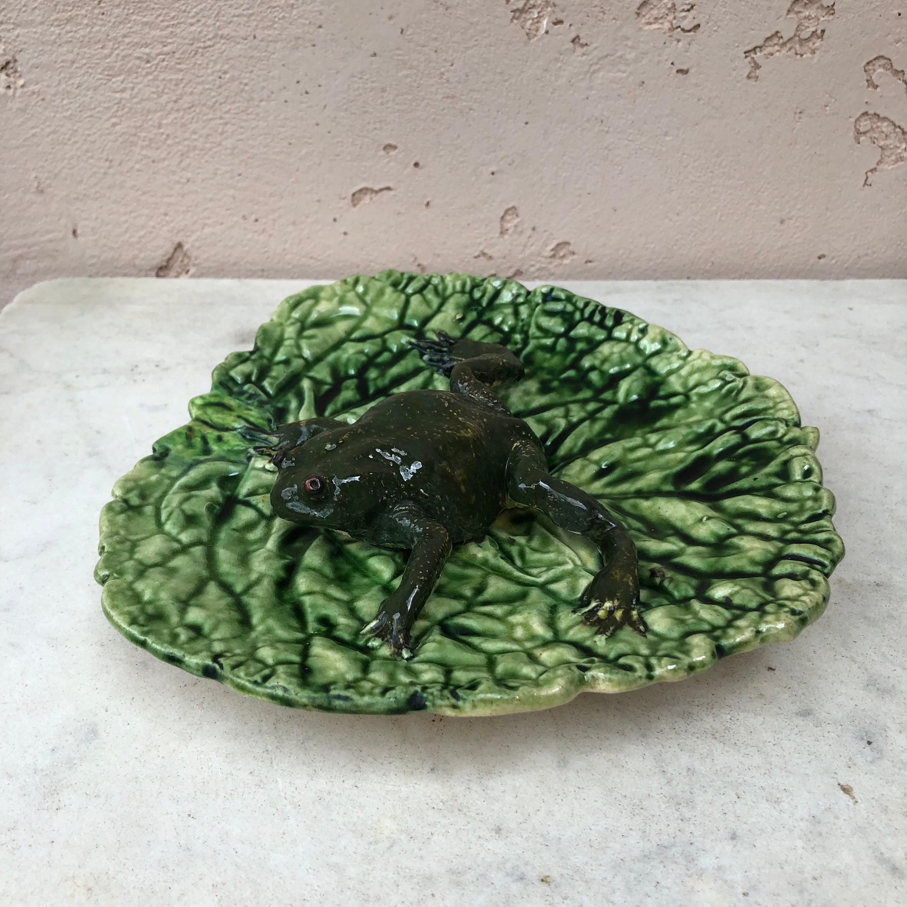 Unusual Majolica Palissy Portuguese wall cabbage leaf with a large frog circa 1890.