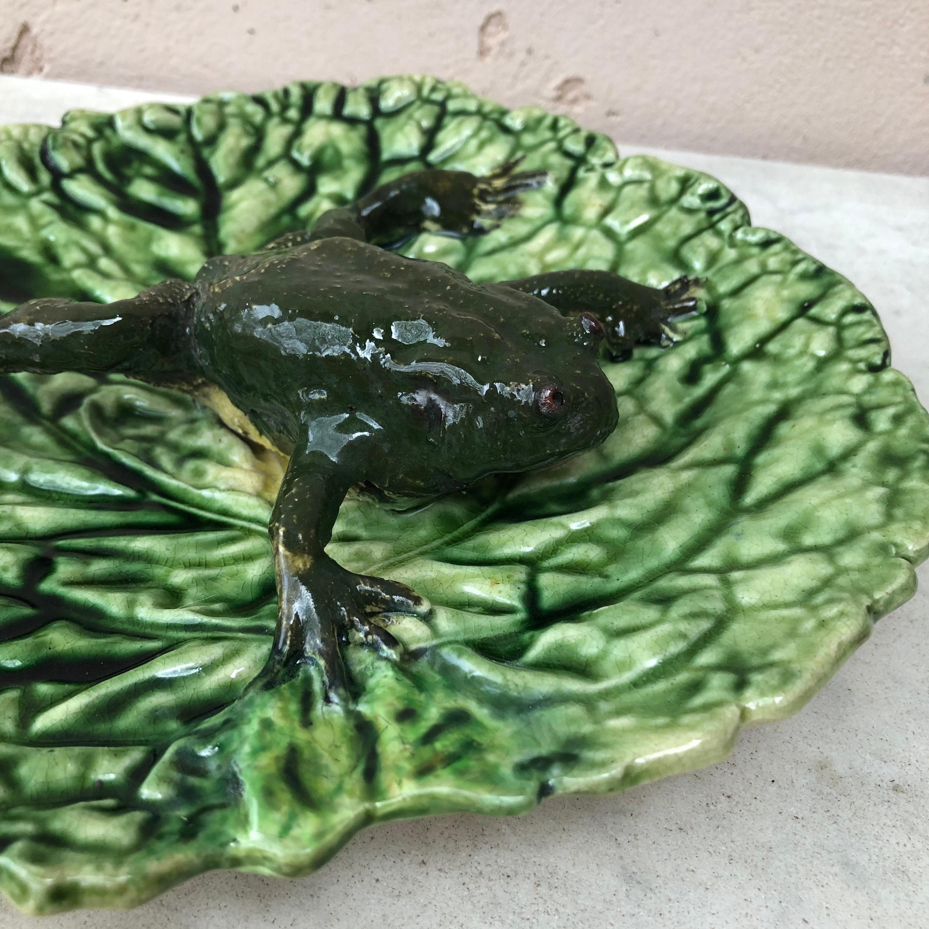 Late 19th Century 19th Century Portuguese Majolica Palissy Wall Platter with Frog