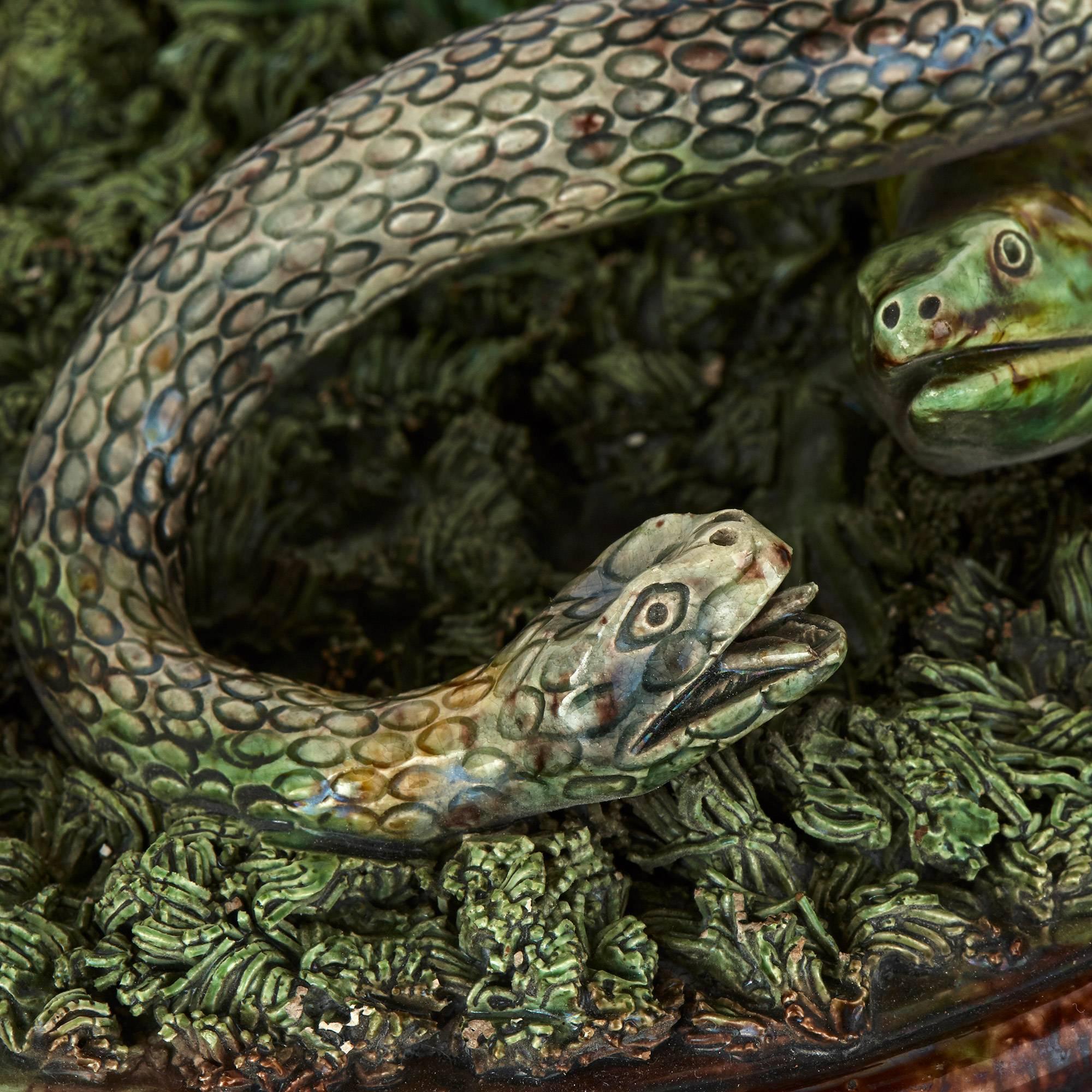 portuguese snake