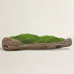 19th Century Primitive Trough