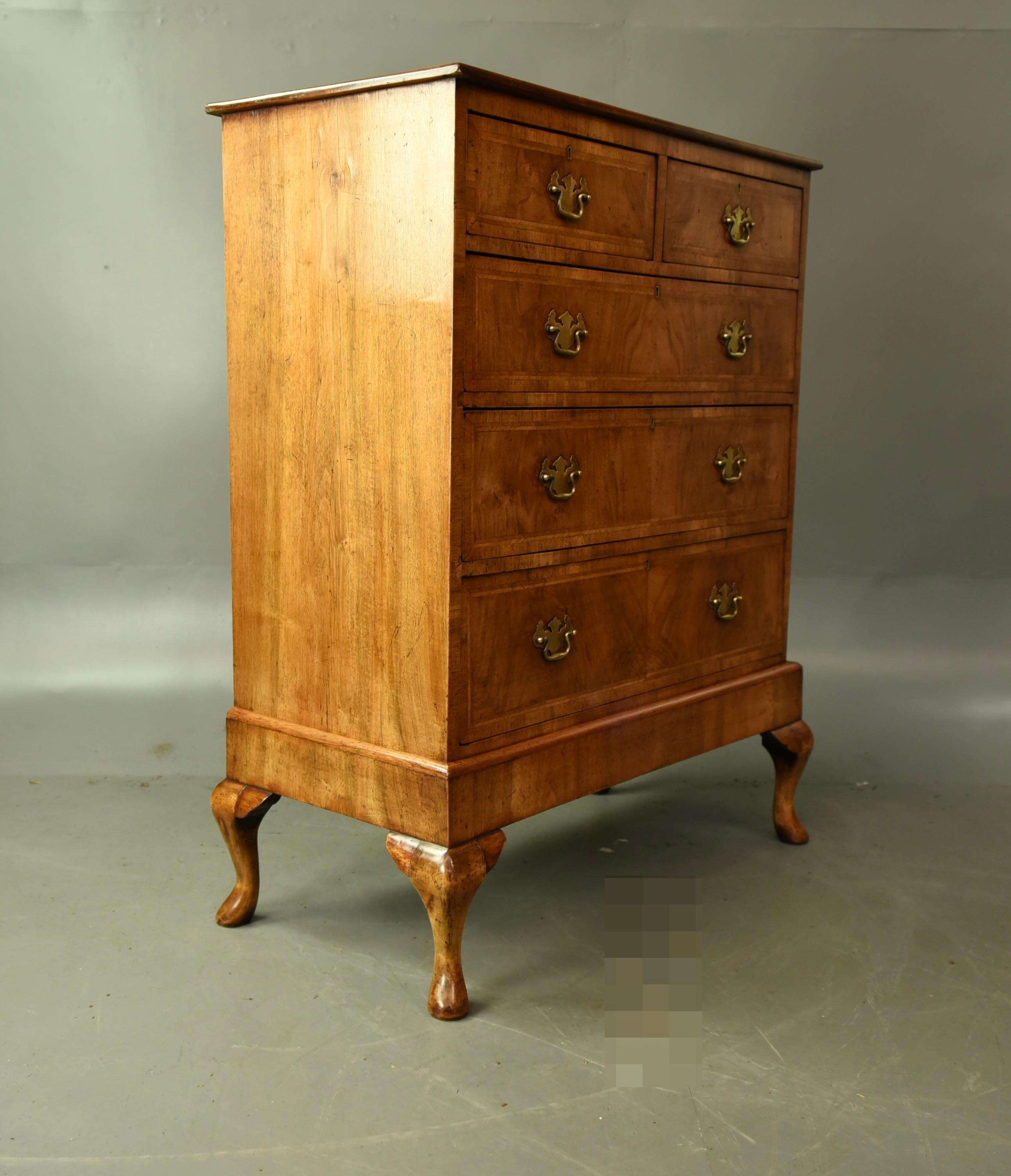 Inglese Cassettiera in noce Queen Anne del XIX secolo / commode