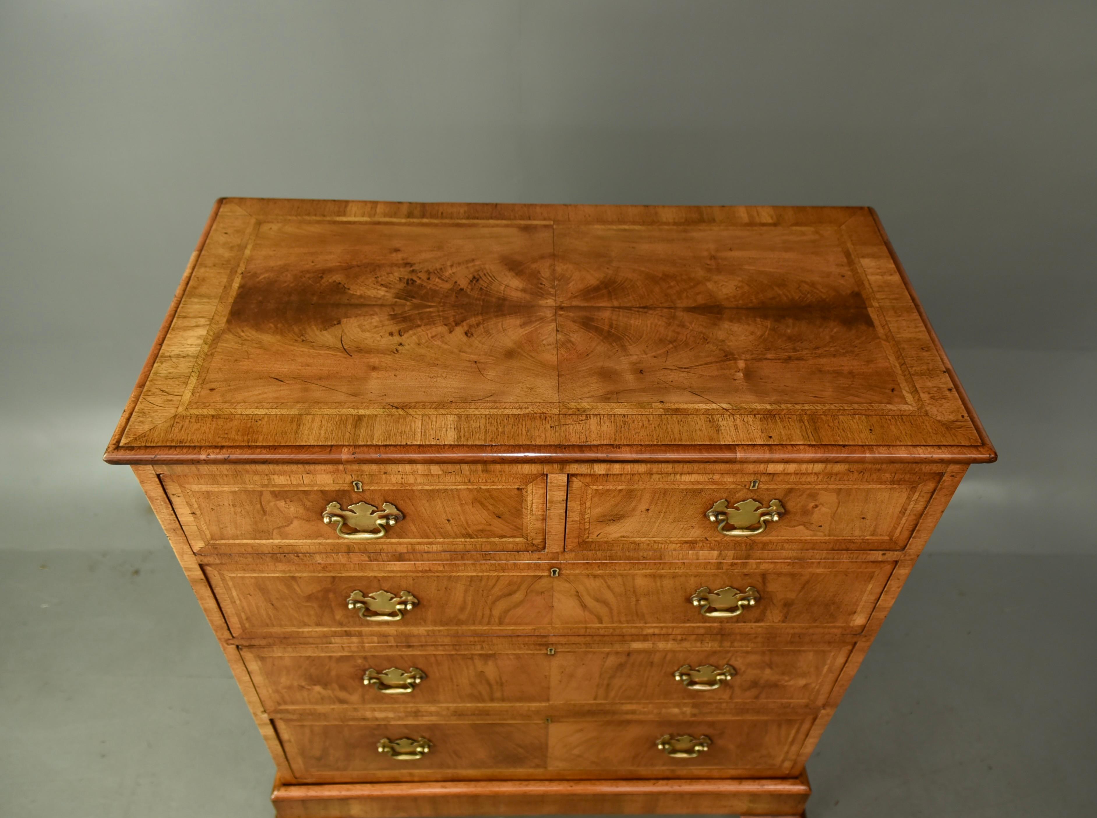 Cassettiera in noce Queen Anne del XIX secolo / commode In condizioni buone a Chelmsford, GB