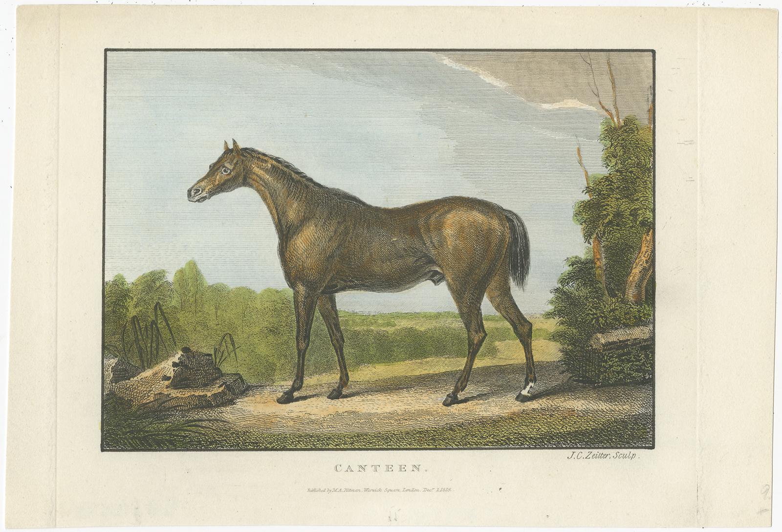 19th-Century Racehorse Portraits: Pandora, Canteen, Mulatto, and Chateau Margaux In Good Condition For Sale In Langweer, NL