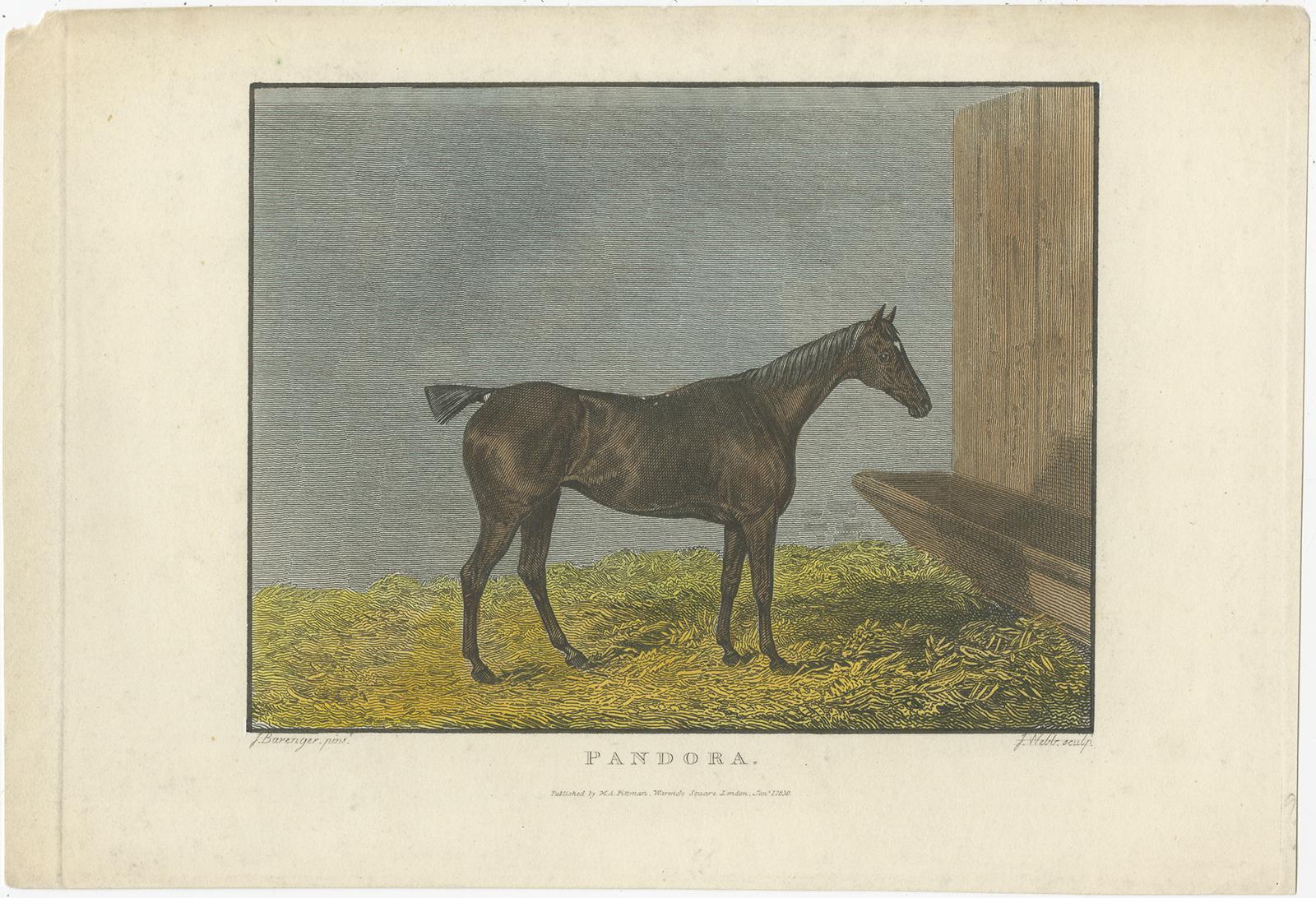 Mid-19th Century 19th-Century Racehorse Portraits: Pandora, Canteen, Mulatto, and Chateau Margaux For Sale