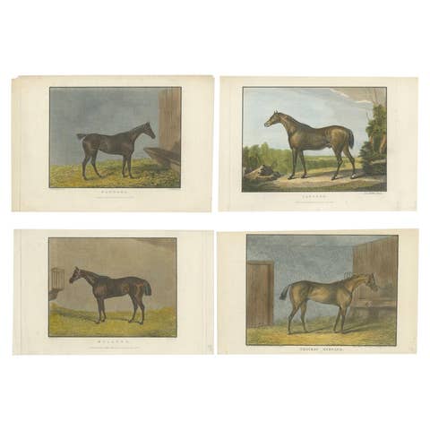 19th-Century Racehorse Portraits: Pandora, Canteen, Mulatto, and Chateau Margaux