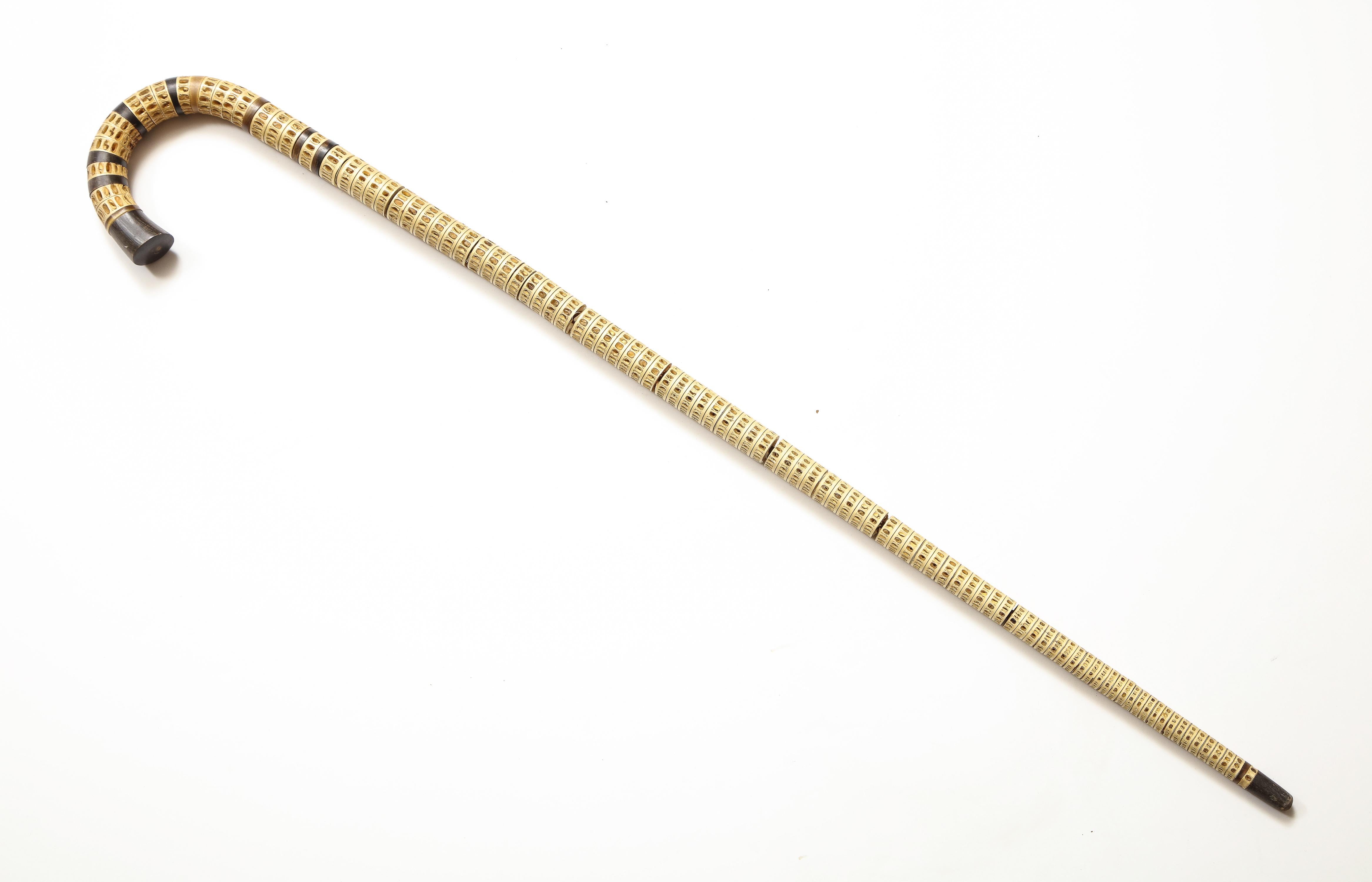 19th century cane, Raj, Vertibrate on metal rod.