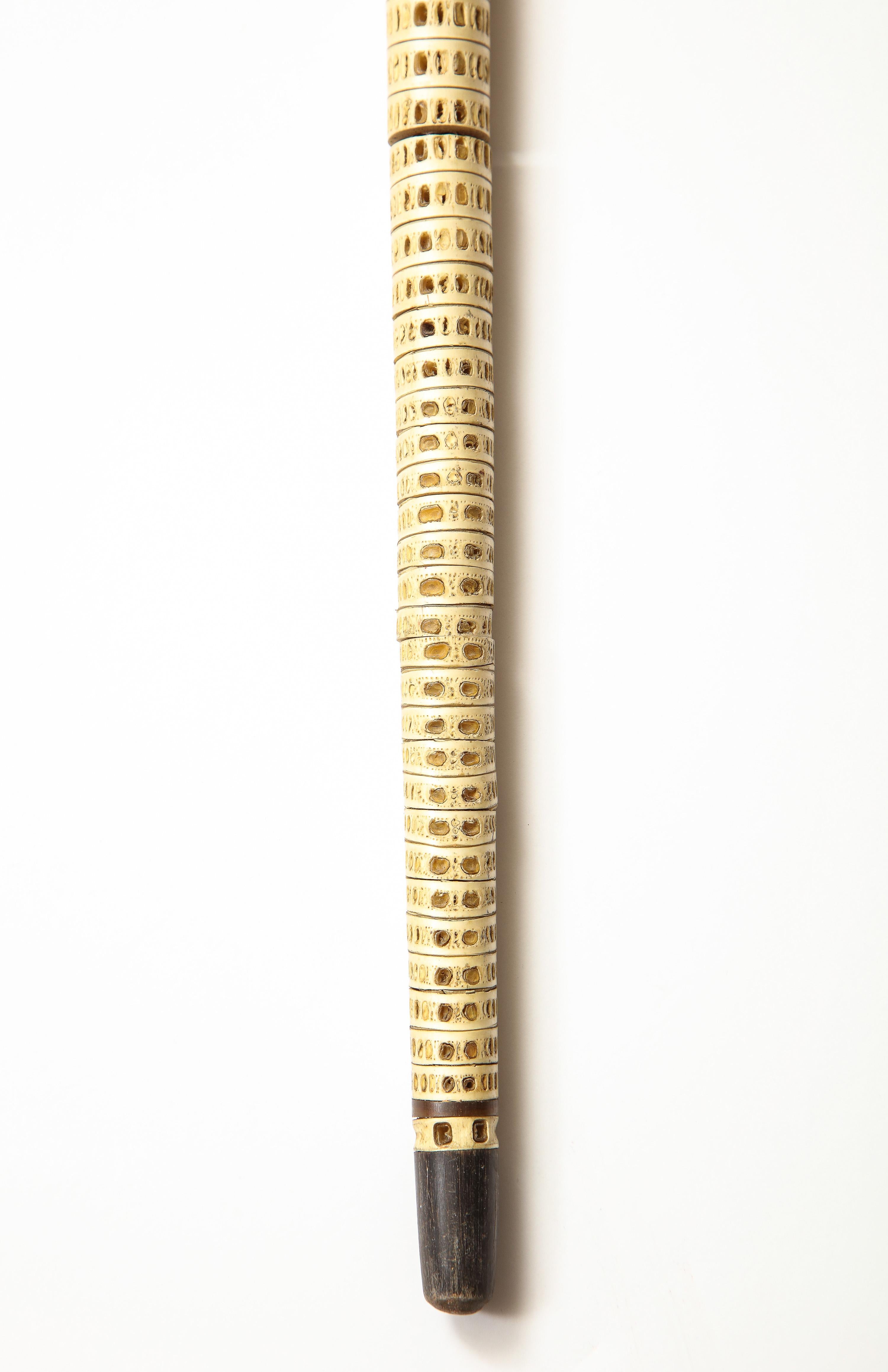19th Century Raj Cane, Vertibrate on Metal Rod For Sale 1