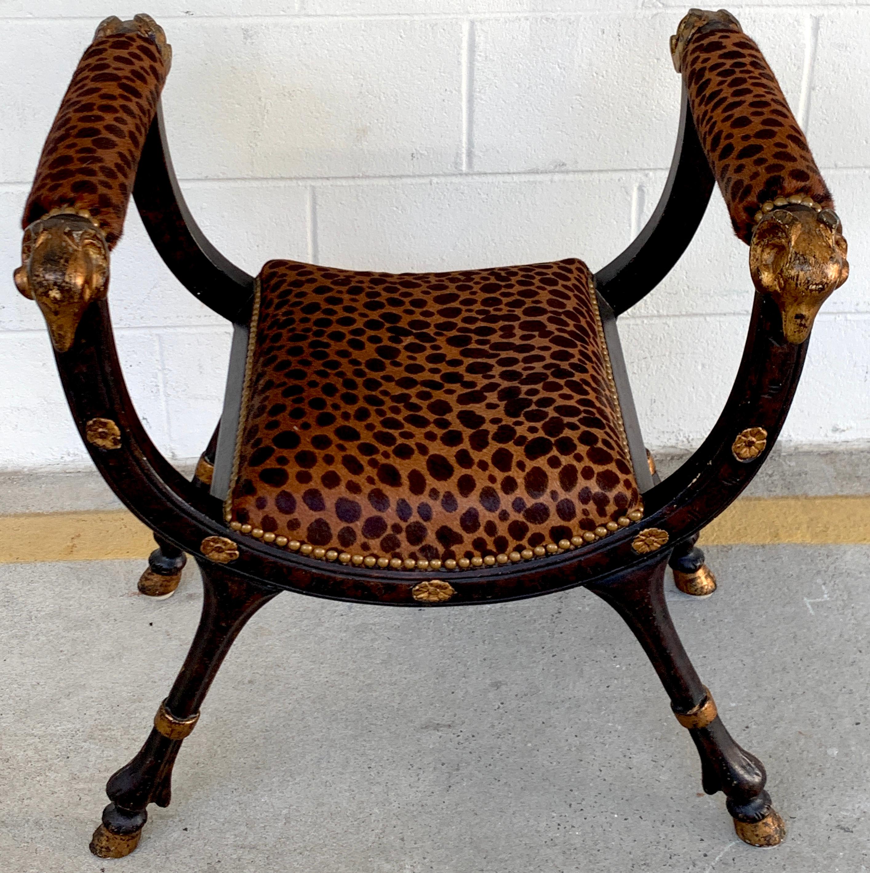19th century Rams Head curule bench, of typical form with recently upholstered animal print cowhide seat and armrests, raised on four hoof legs. The seat measures 16