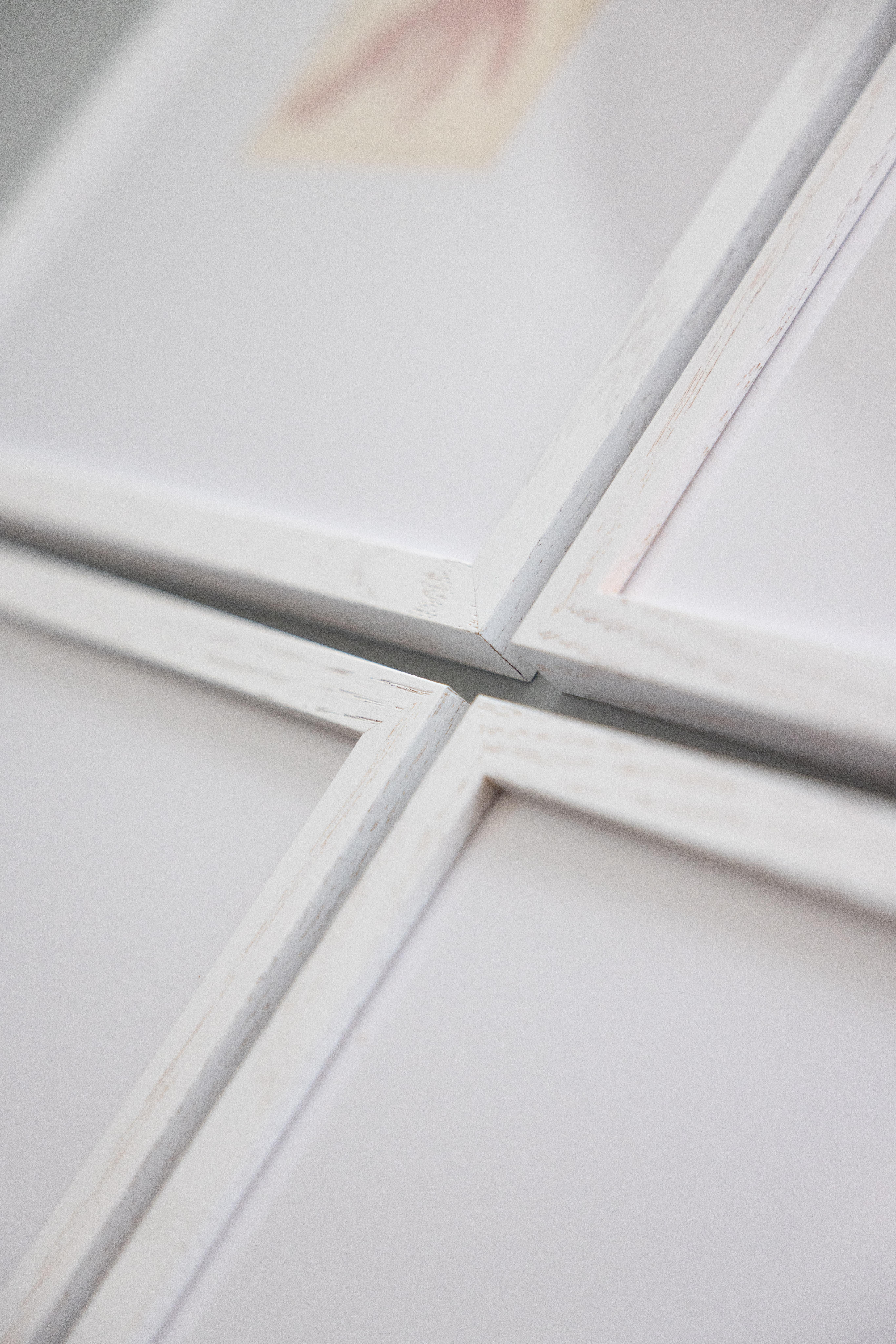 Rare spécimen d'algues pressées du 19e siècle, 1859 - ensemble de quatre spécimens en vente 6