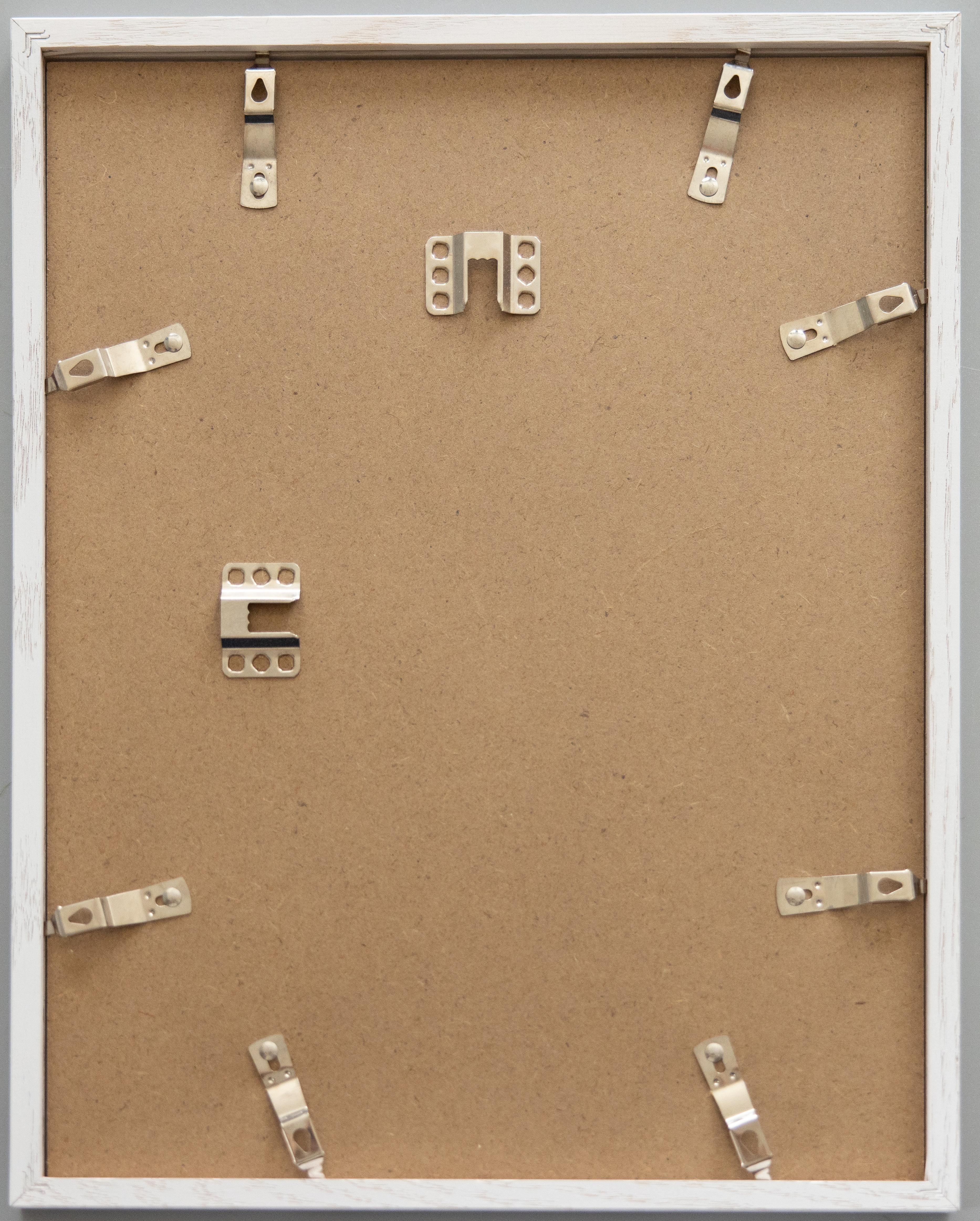 Rare spécimen d'algues pressées du 19e siècle, 1859 - ensemble de quatre spécimens en vente 7