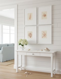 19th Century Rare Antique Pressed Seaweed Specimens, 1859 - set of four