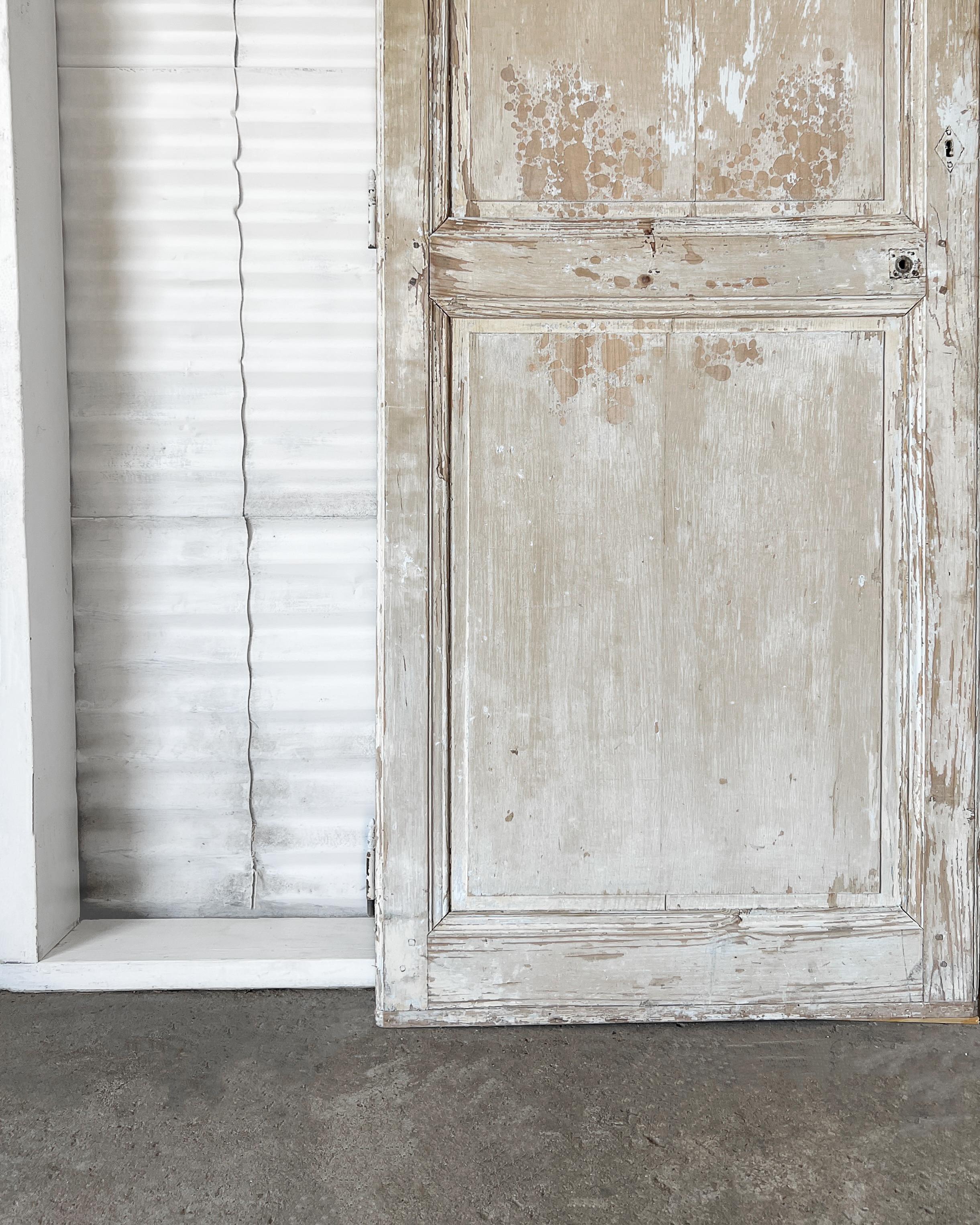 Puerta francesa de 2 hojas recuperada del siglo XIX con pintura envejecida Francés en venta