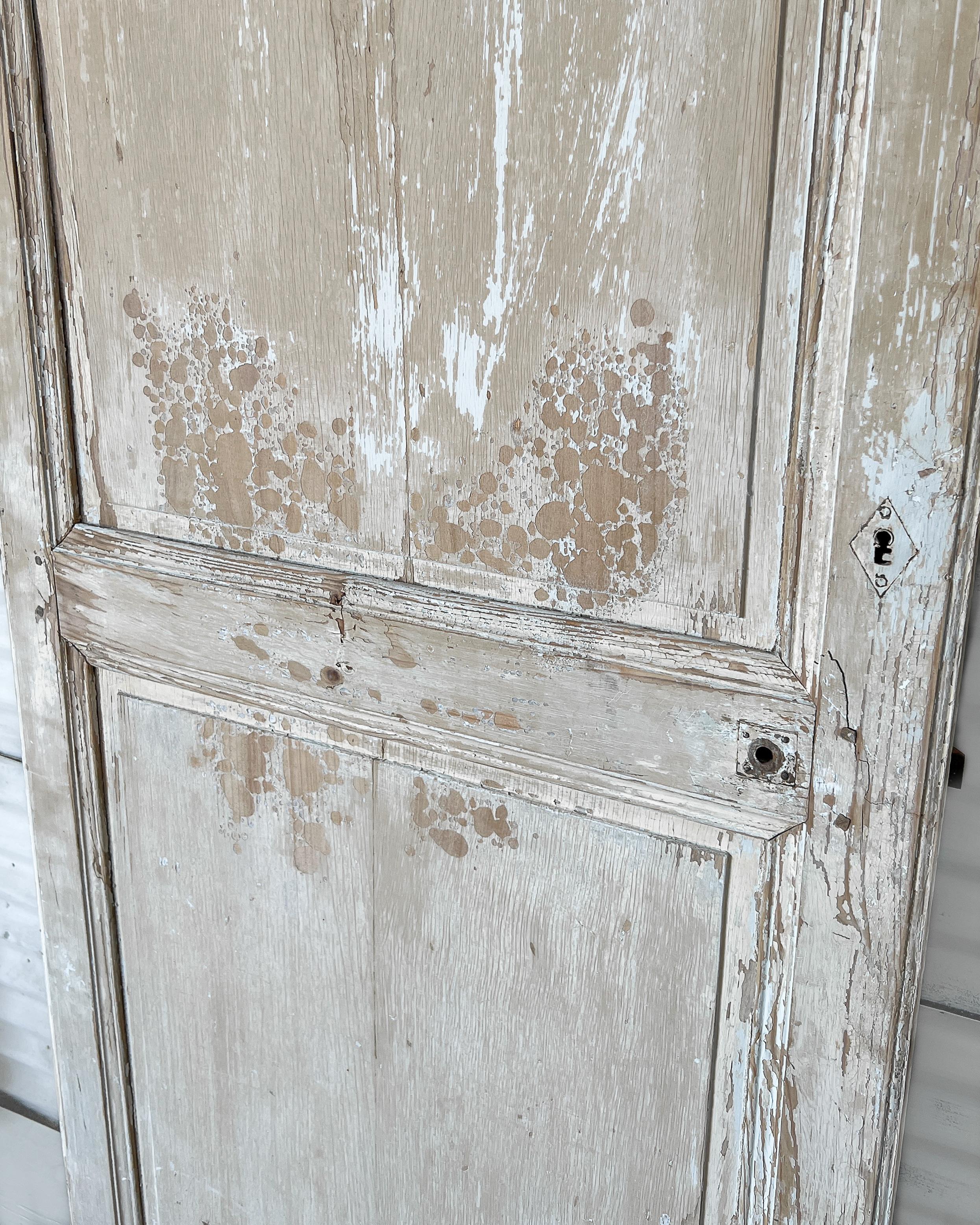 Puerta francesa de 2 hojas recuperada del siglo XIX con pintura envejecida en venta 1