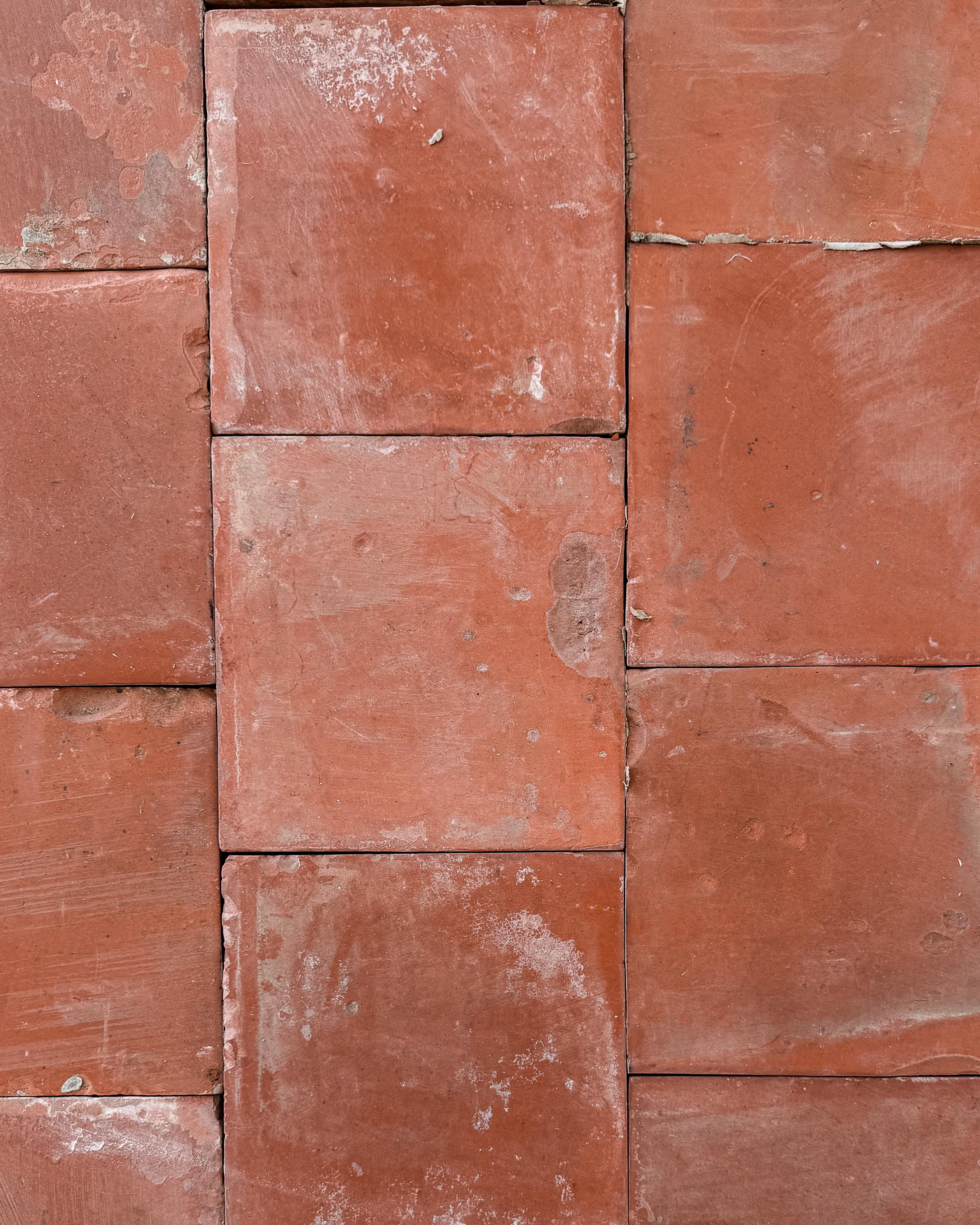 Piastrelle in terracotta francese del XIX secolo, 33SF in vendita 5