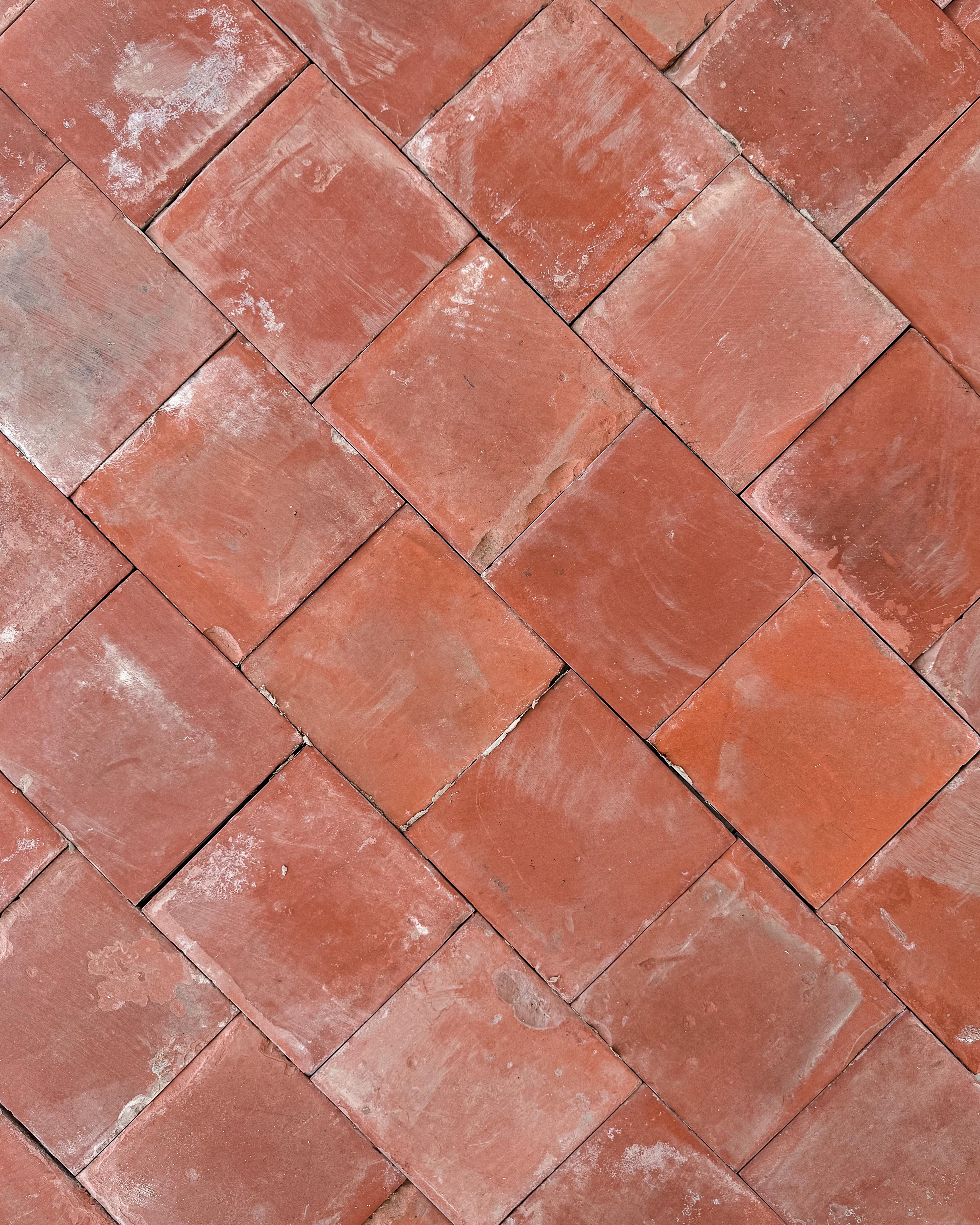Piastrelle in terracotta francese del XIX secolo, 33SF in vendita 7