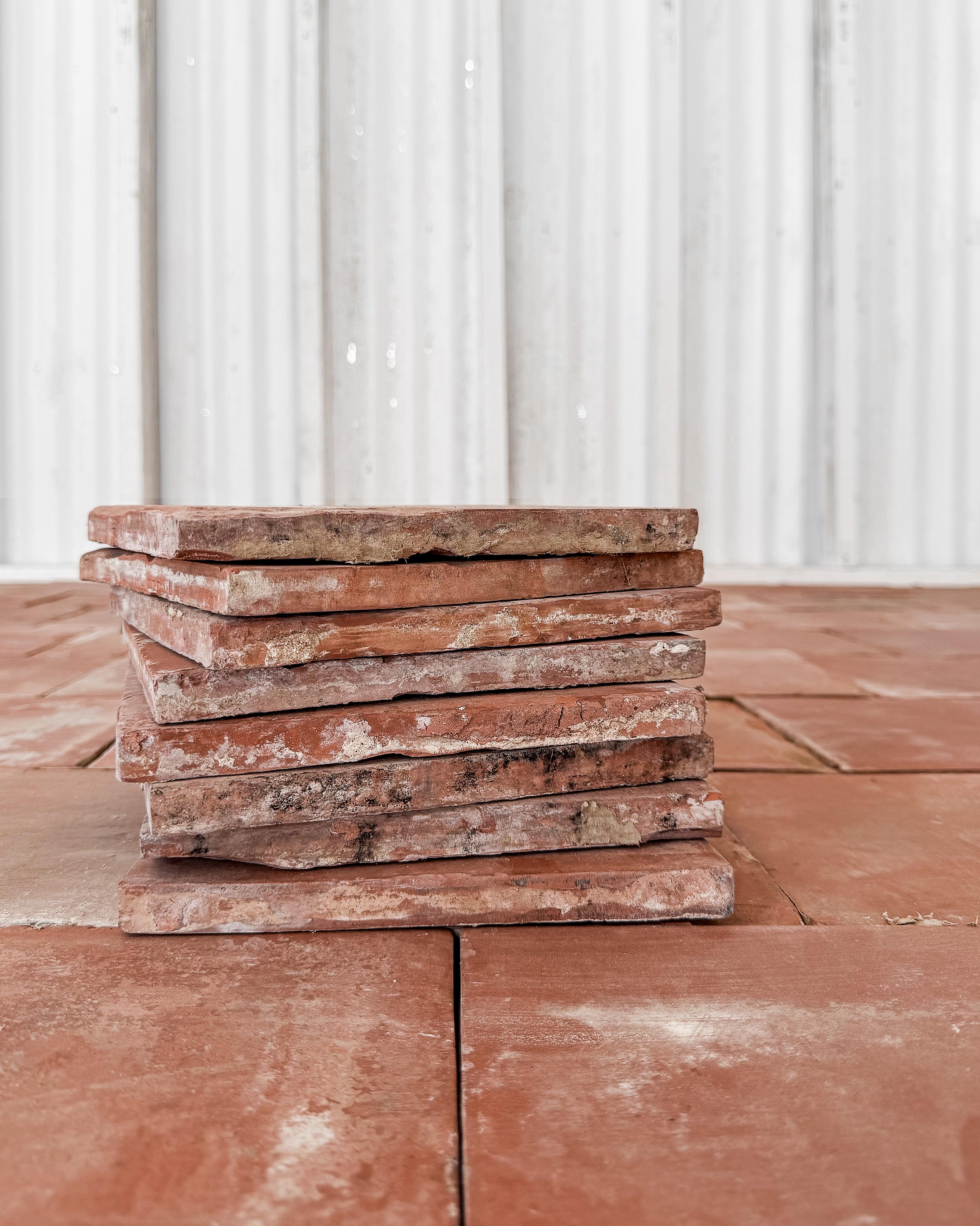 Francese Piastrelle in terracotta francese del XIX secolo, 33SF in vendita