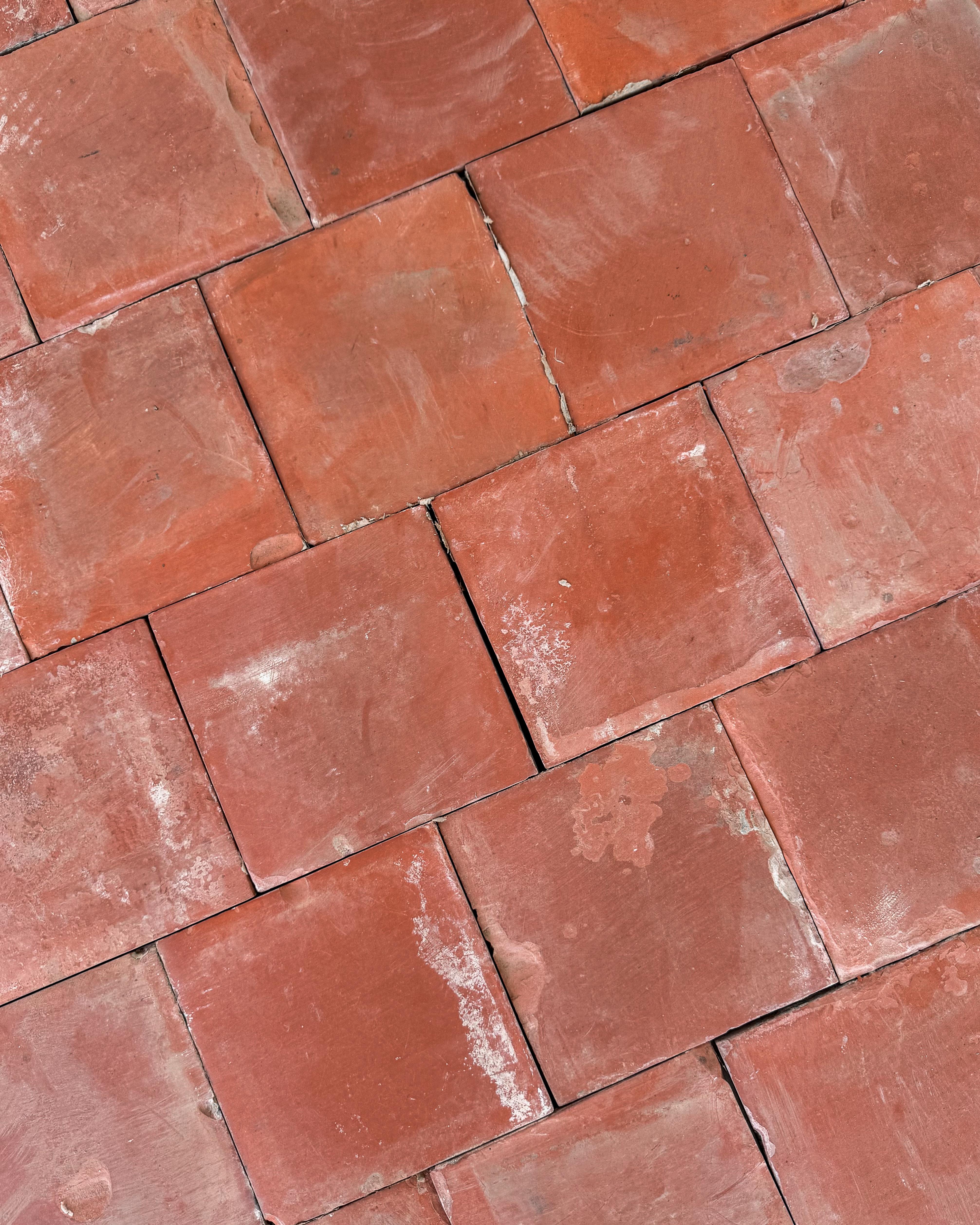 Terracotta Piastrelle in terracotta francese del XIX secolo, 33SF in vendita