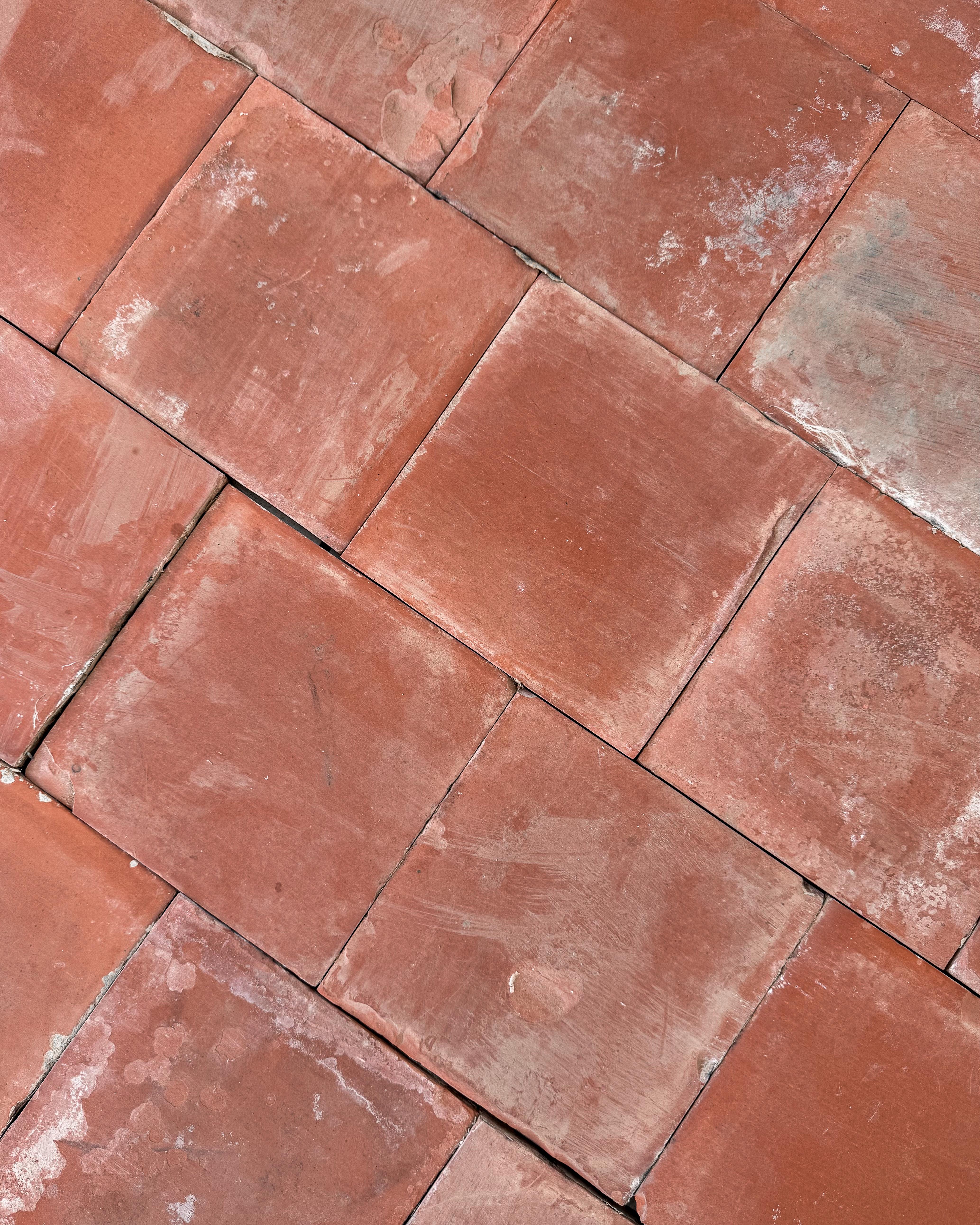 Piastrelle in terracotta francese del XIX secolo, 33SF in vendita 1