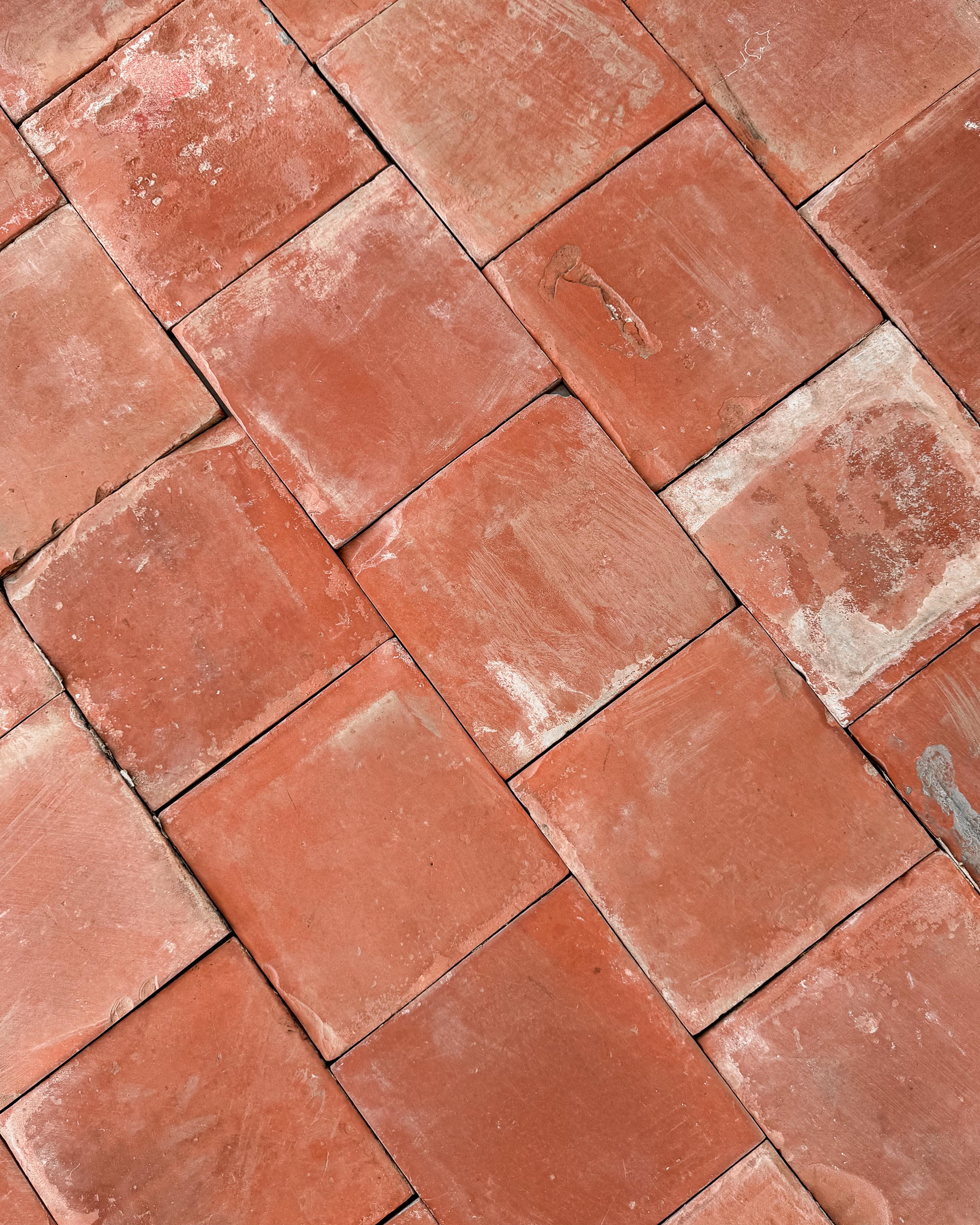 Piastrelle in terracotta francese del XIX secolo, 33SF in vendita 3