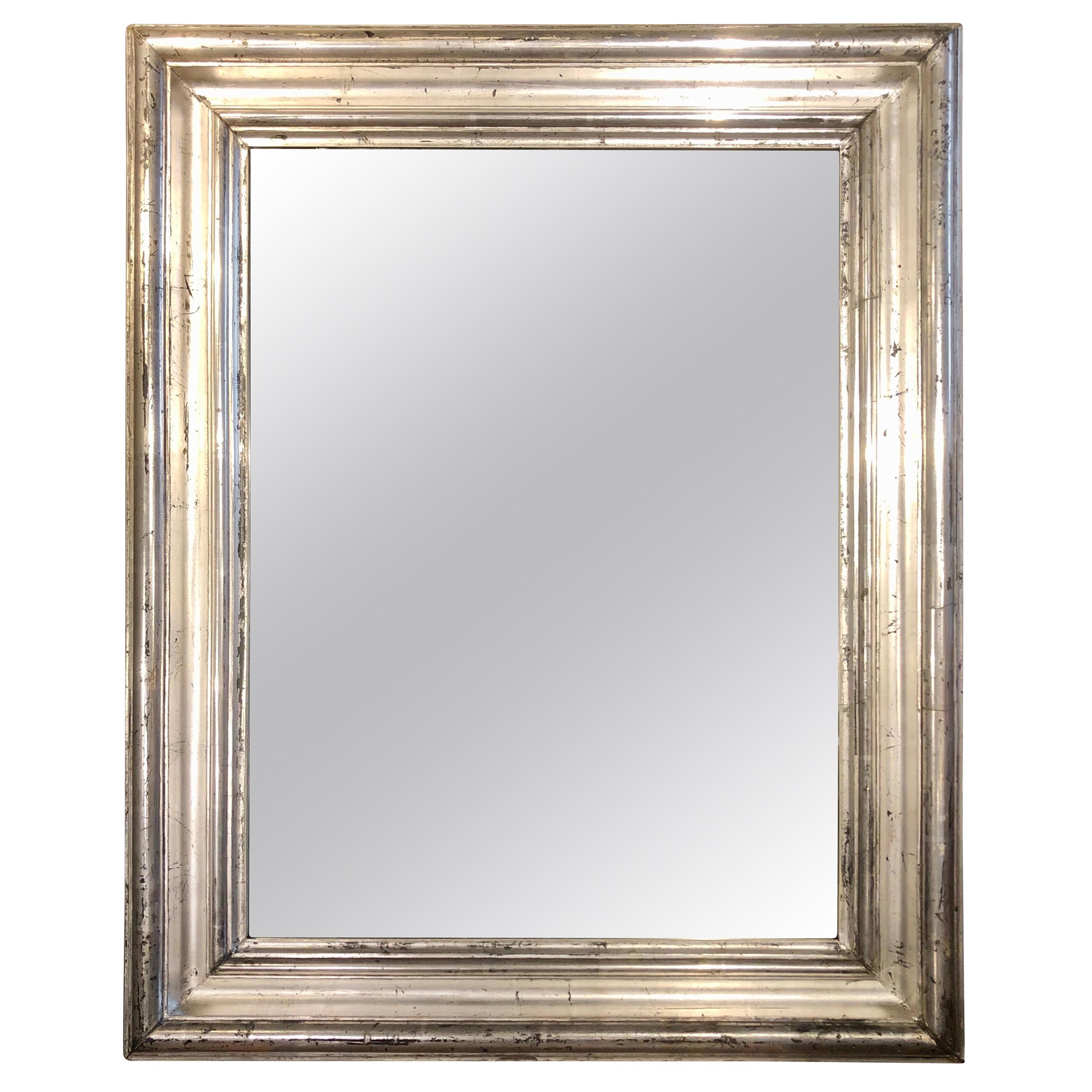 19th Century Rectangular Silver Gilt Frame Mirror