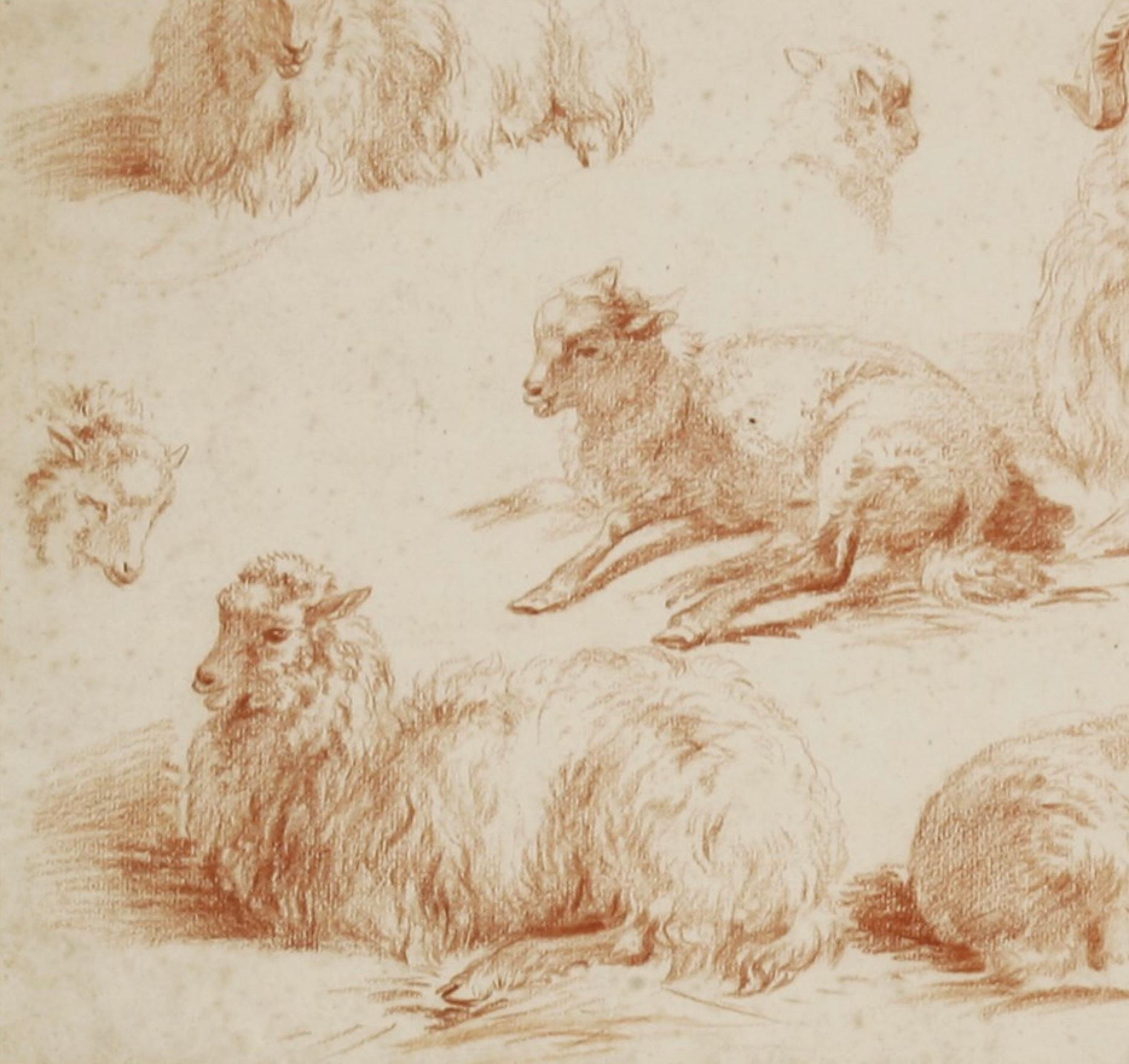 Paper 19th Century Red Chalk Drawing of Sheep by Jan van Ravenswaay For Sale