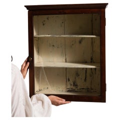 19th Century French Provincial Wall Vitrine in Dark Mahogany