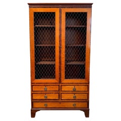 Antique 19th Century Regency Cabinet