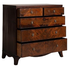 19th Century Regency Chest of Drawers in Flame Mahogany Veneer