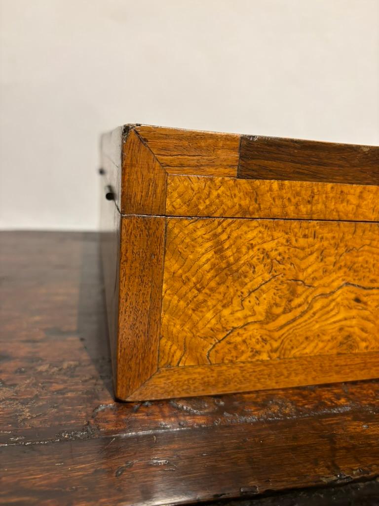 Scatola Regency del XIX secolo in legno di olmo e palissandro in vendita 5