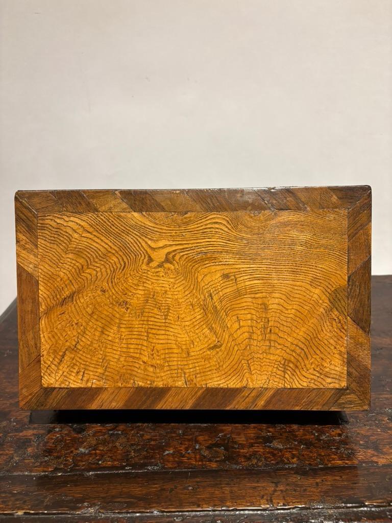 Scatola Regency del XIX secolo in legno di olmo e palissandro in vendita 6