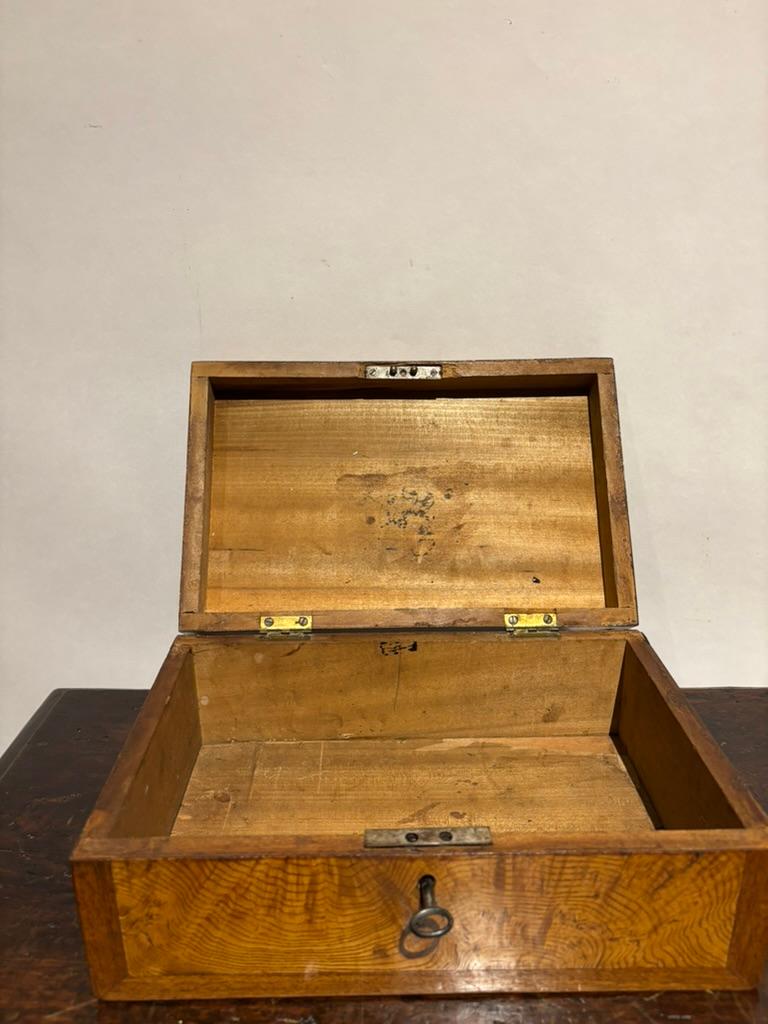 Scatola Regency del XIX secolo in legno di olmo e palissandro in vendita 10
