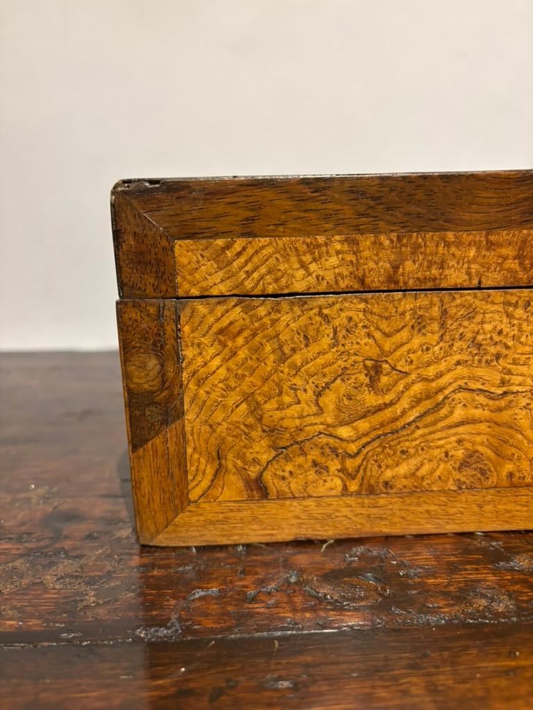 Scatola Regency del XIX secolo in legno di olmo e palissandro In condizioni buone in vendita a Stamford, CT