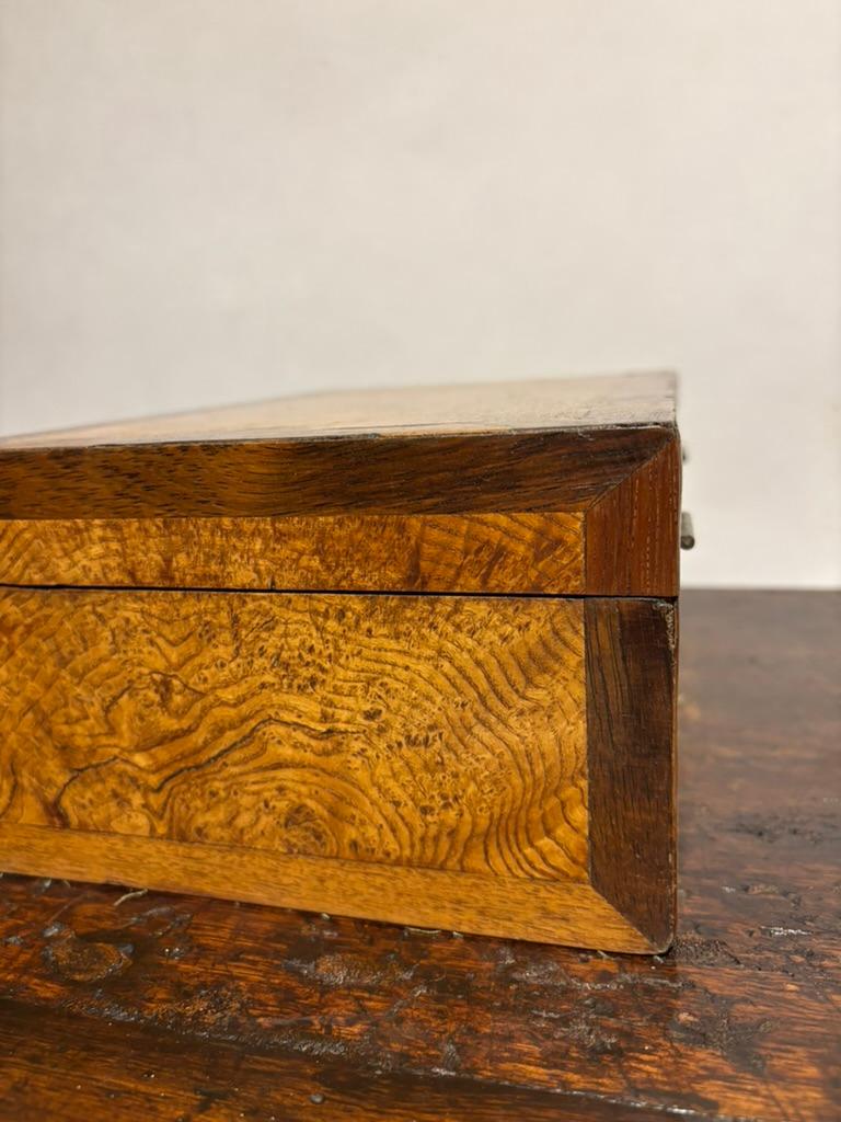 Olmo Scatola Regency del XIX secolo in legno di olmo e palissandro in vendita