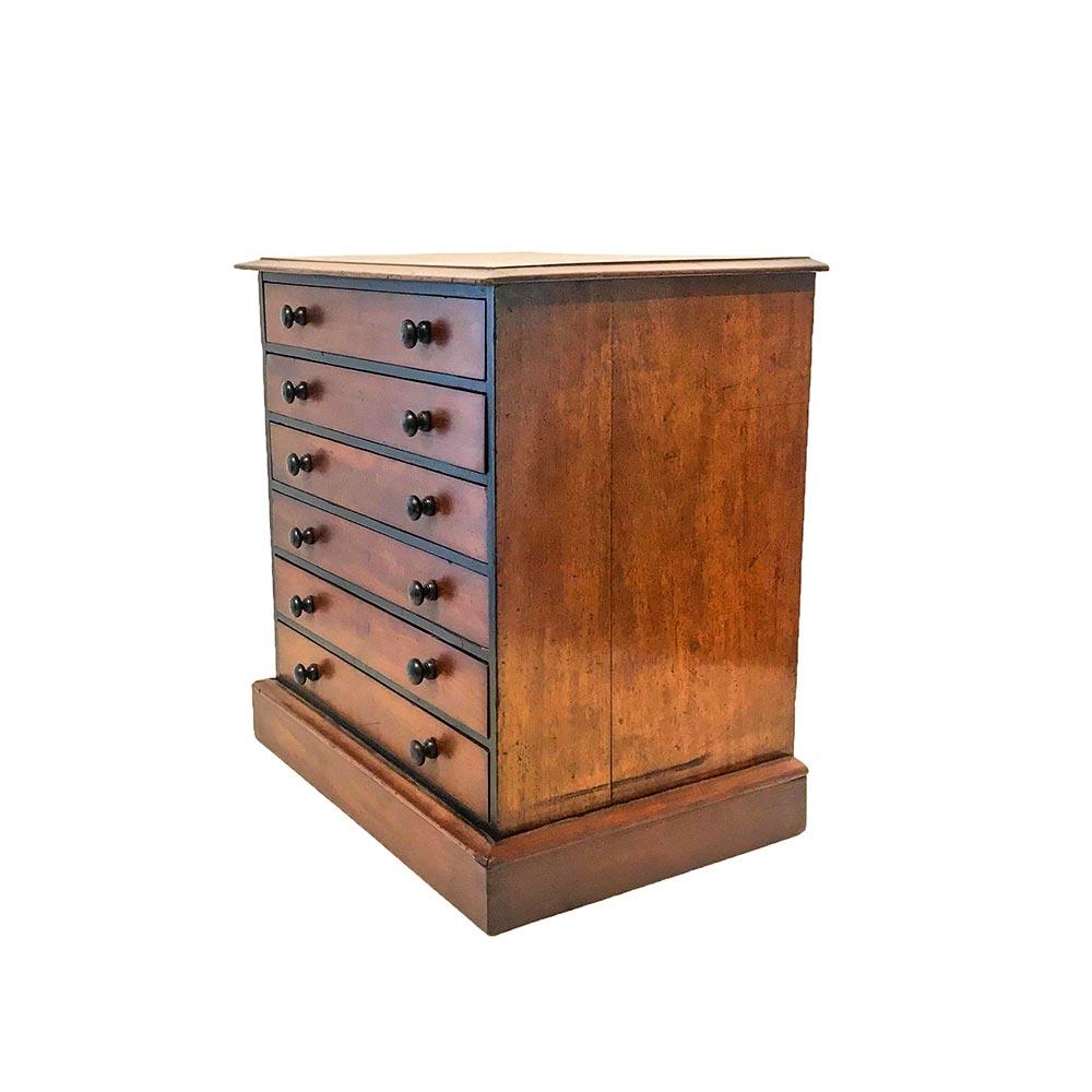 Cassapanca da collezione in mogano del periodo Regency inglese con dettagli ebanizzati. La cassa in mogano ha sei cassetti con tiretti torniti, piano in mogano figurato con bordo modellato e poggia su una base a plinto con modanature applicate.