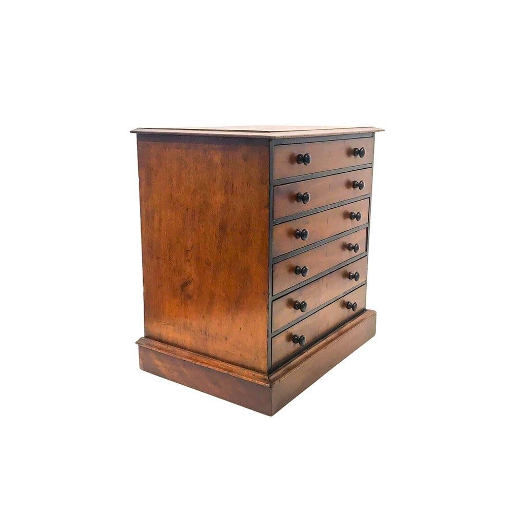 English 19th Century Regency Mahogany 6-Drawer Collectors Chest For Sale