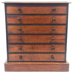 19th Century Regency Mahogany 6-Drawer Collectors Chest