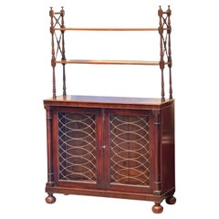 19th Century Regency Mahogany Cabinet