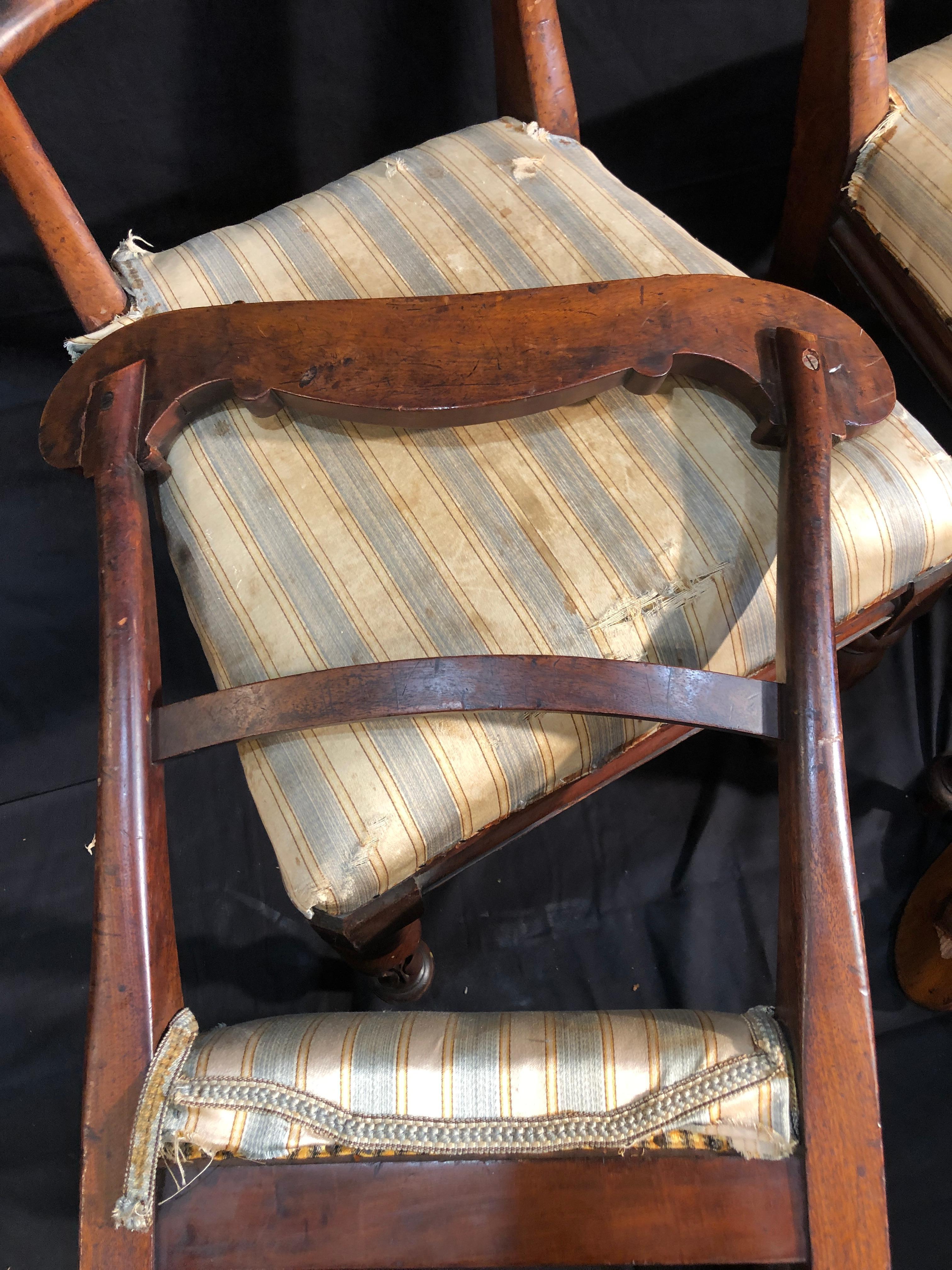 19th Century Regency Mahogany Chairs, 1830s 4