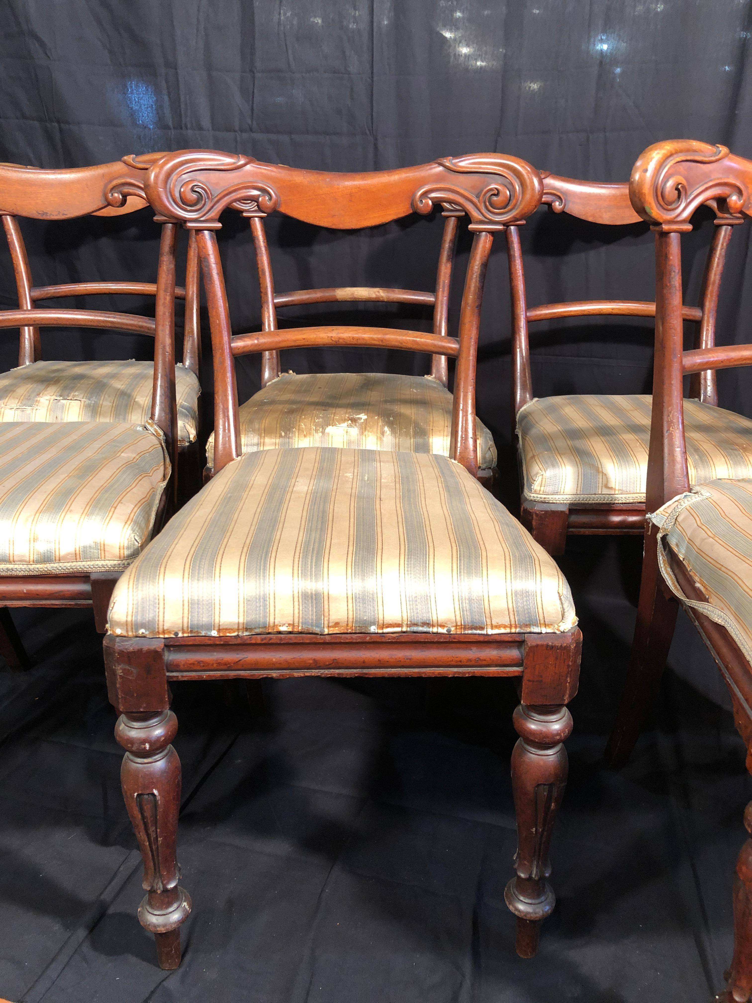 Six English chairs in mahogany, carved on the back, Regency period, circa 1830, tulip leg, in good condition, lack of wood in some parts.