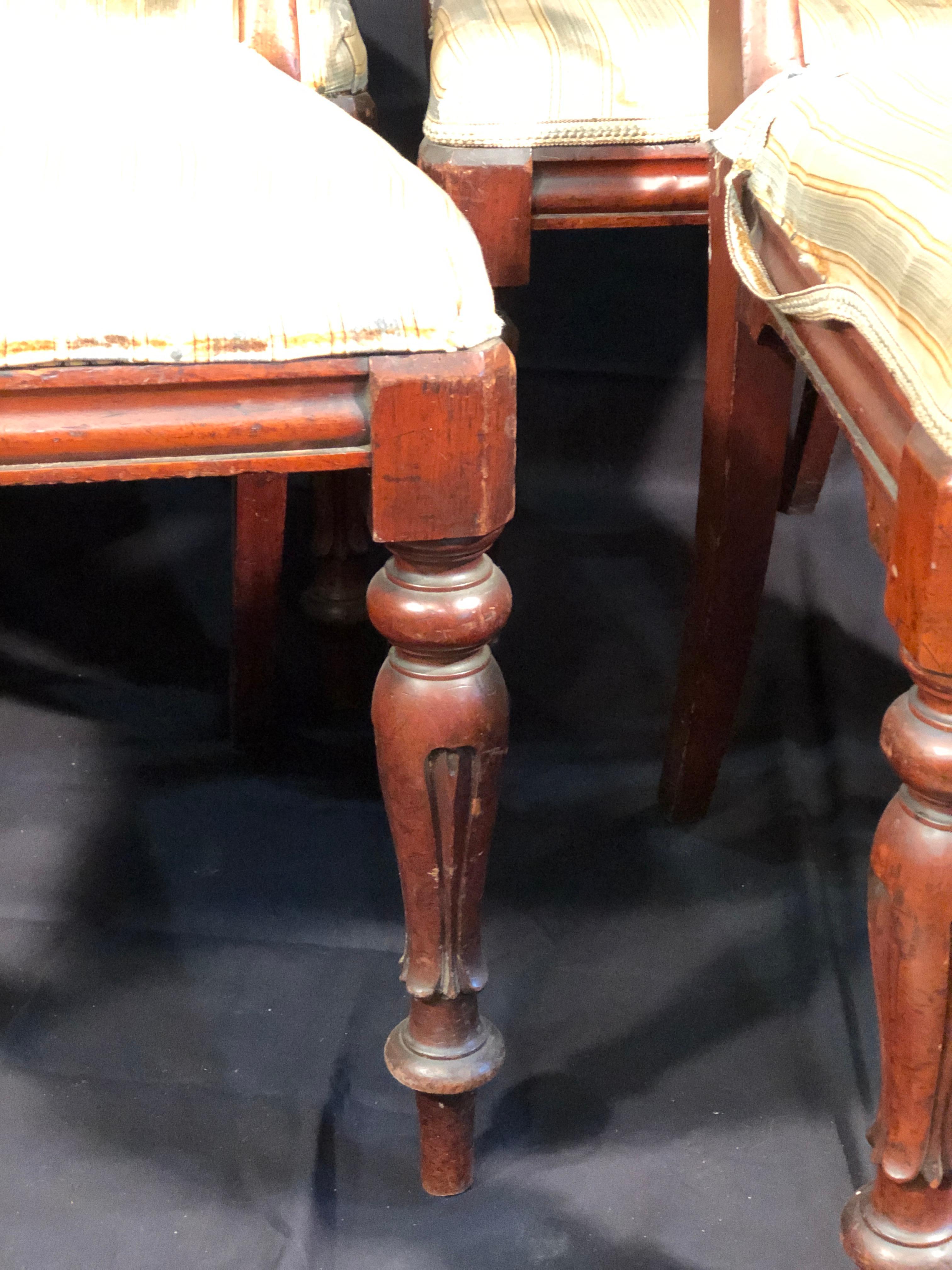 English 19th Century Regency Mahogany Chairs, 1830s