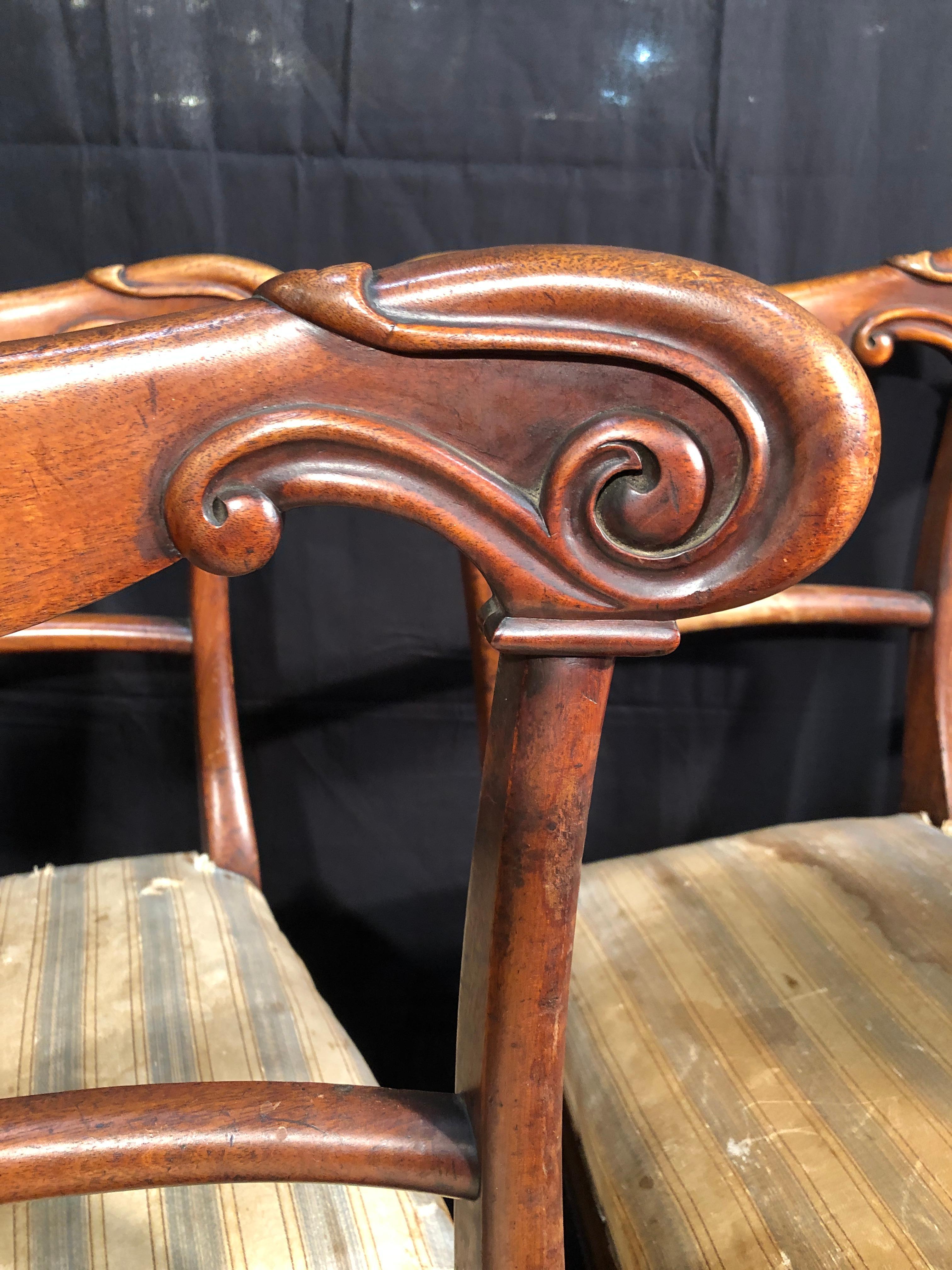 19th Century Regency Mahogany Chairs, 1830s 3