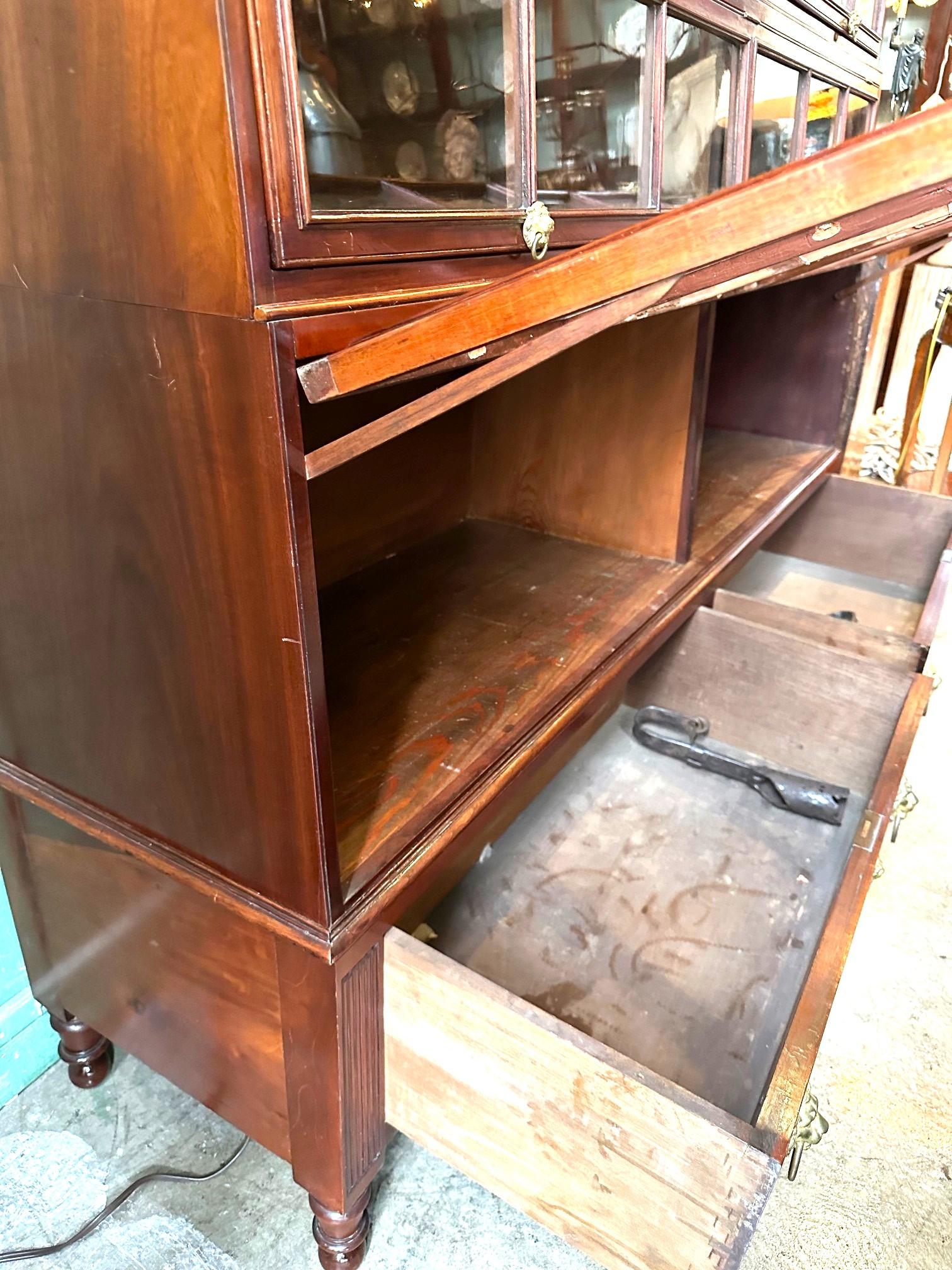 19th Century Regency Mahogany Lawyers Bookcase Wall Cabinet Biotech, 1811-1819 For Sale 7